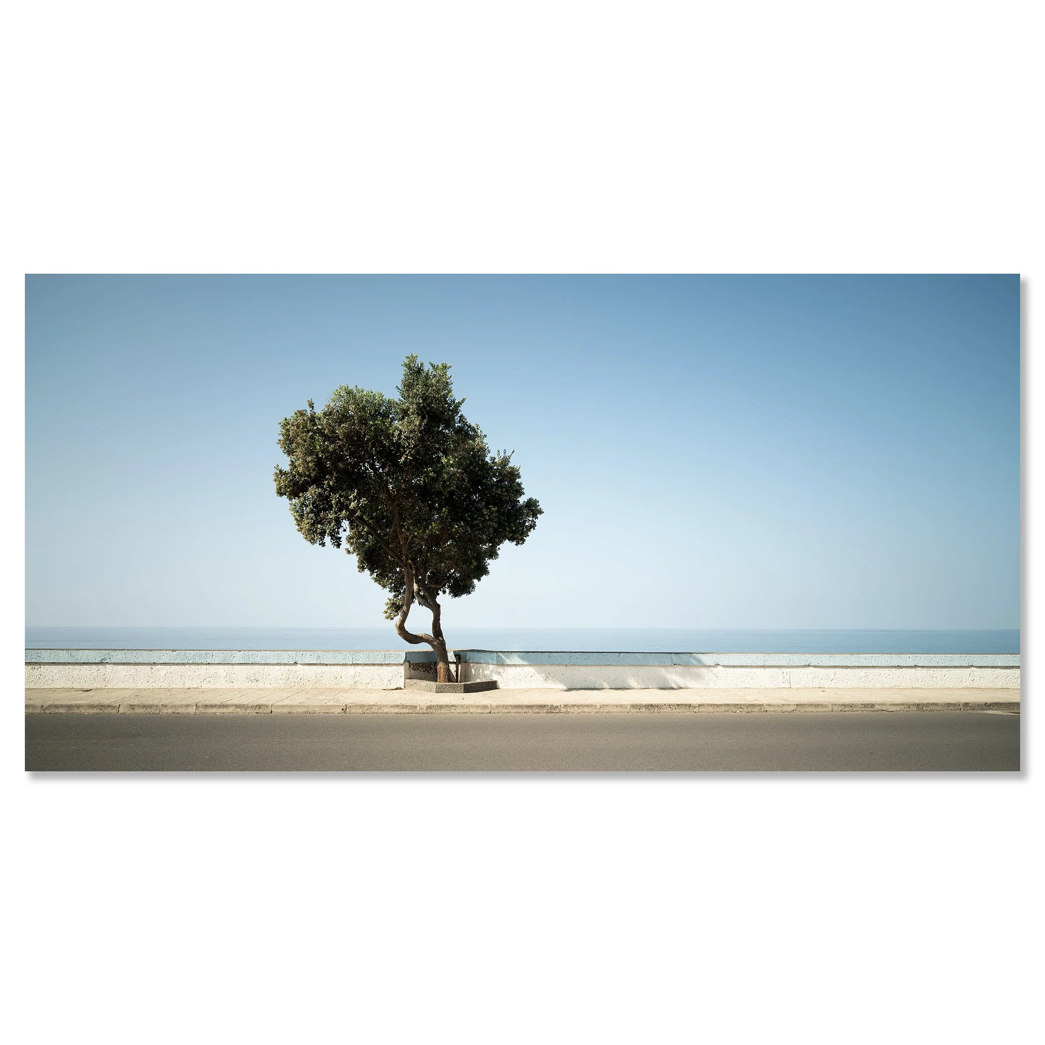 Peaceful coastal scene with a tree, road and calm sea in the background – dibond frameless