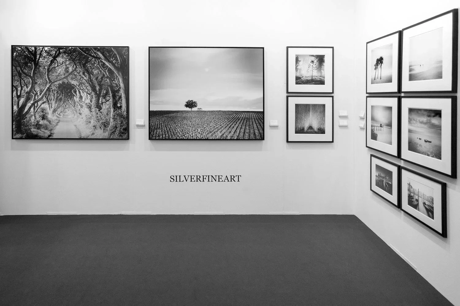 Exhibition installation of black-and-white landscape photography by Gerald Berghammer at art KARLSRUHE 2017, featuring SILVERFINEART.
