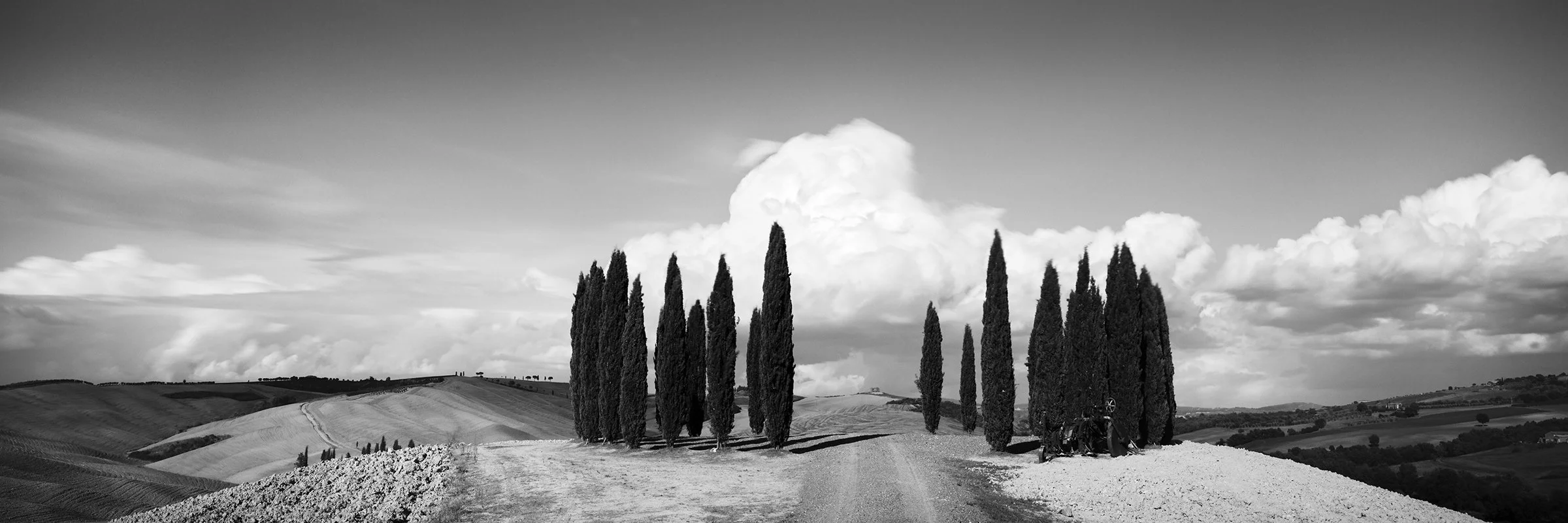 Circle of Cypress Trees Study 1 by Gerald Berghammer, panoramic black-and-white photograph of cypress trees and rolling hills in Tuscany, Italy.