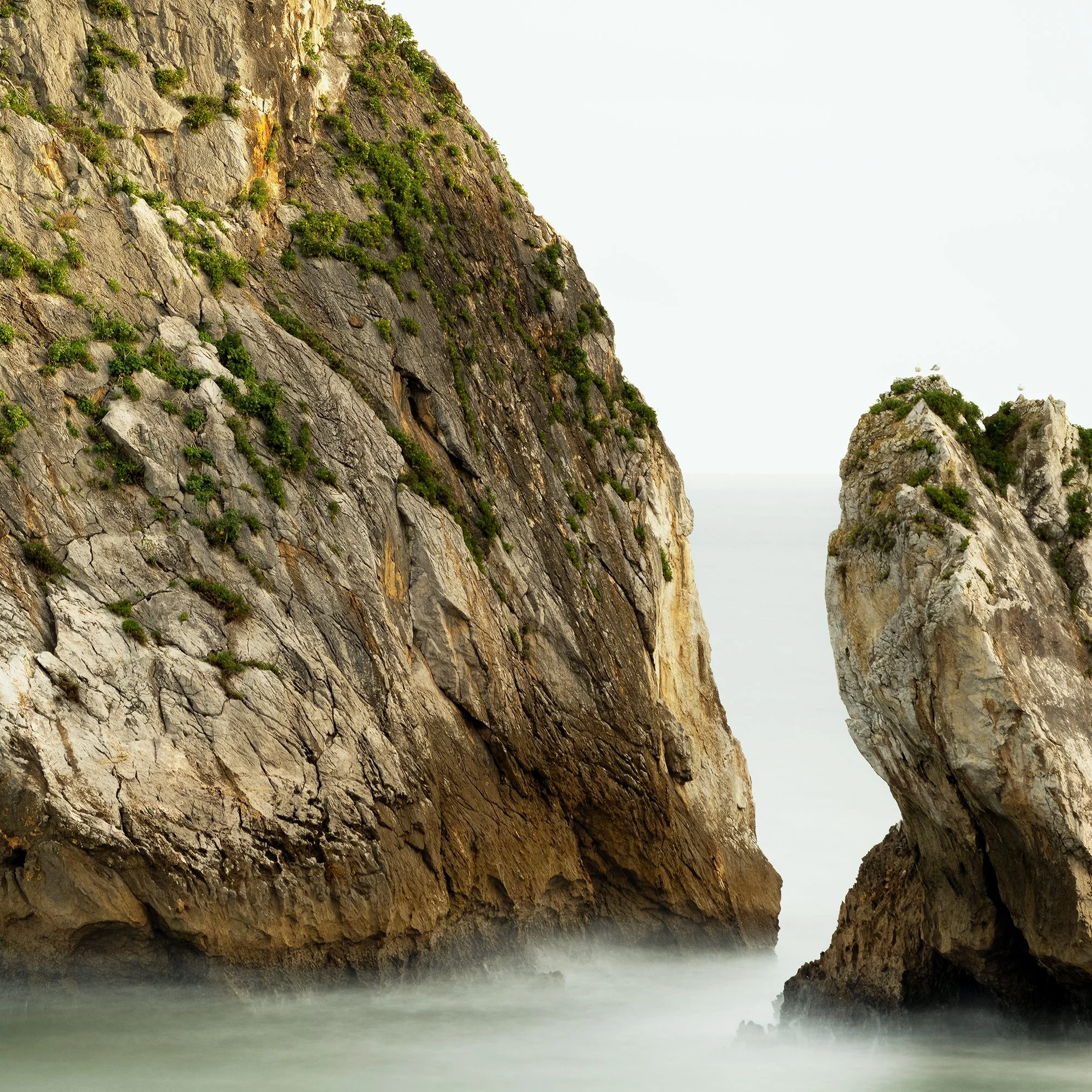 Close-up detail of weathered sea-stack rock surfaces and vegetation in Two Rocks in the Sea Study 1 by Gerald Berghammer.