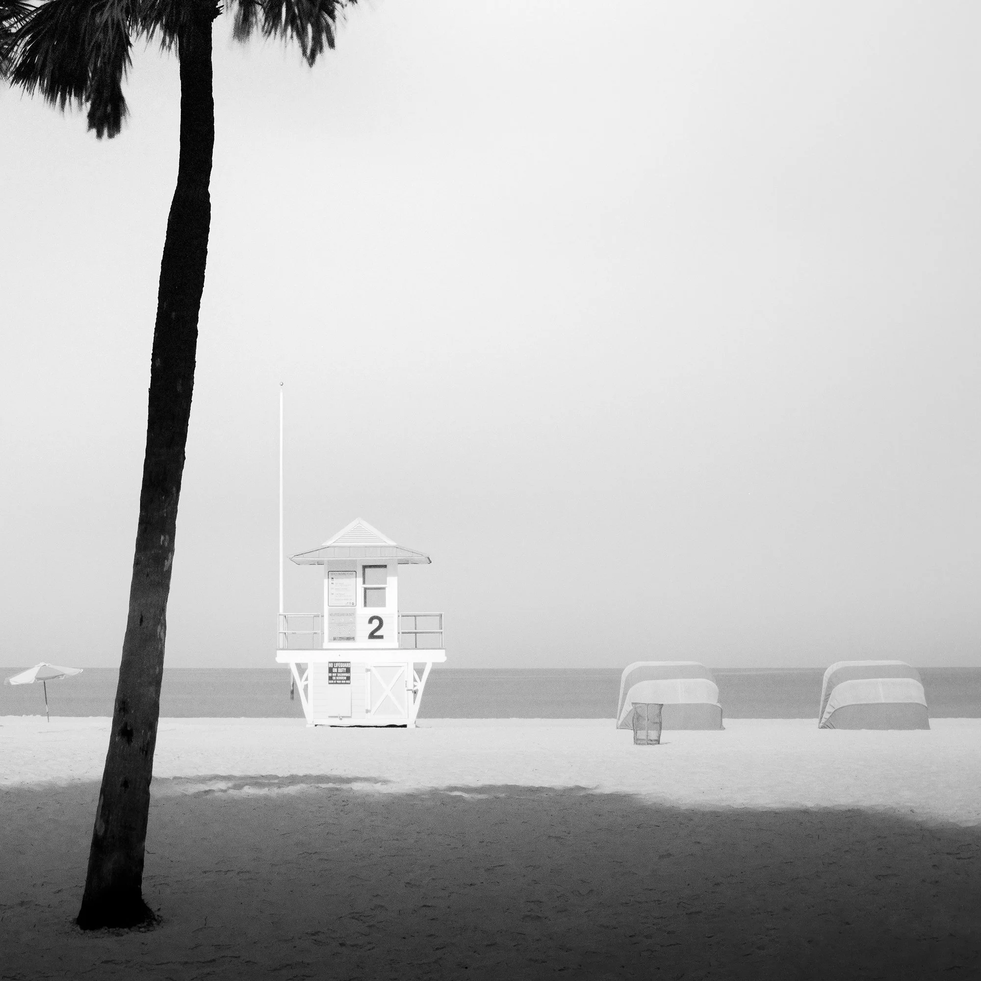 Lifeguard Tower Study 2, detail of the lifeguard tower and palm tree on Miami Beach by Gerald Berghammer.