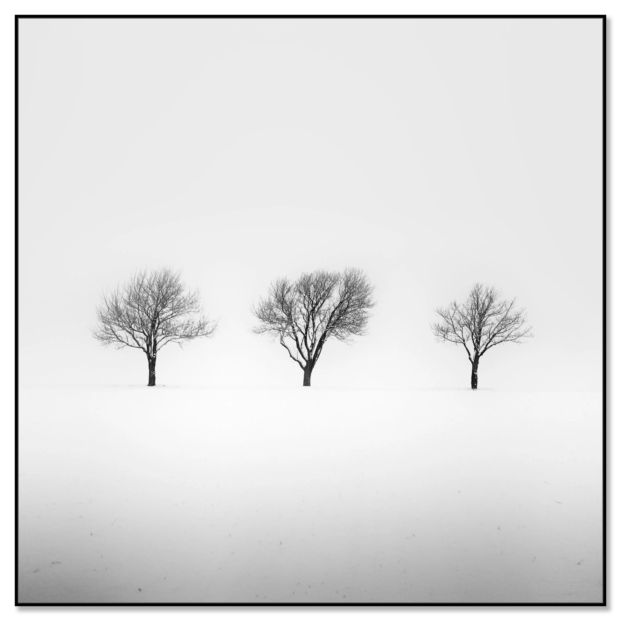 Three Trees in a Snowy Field, Study 2 in a black aluminium ArtBox frame by Gerald Berghammer.