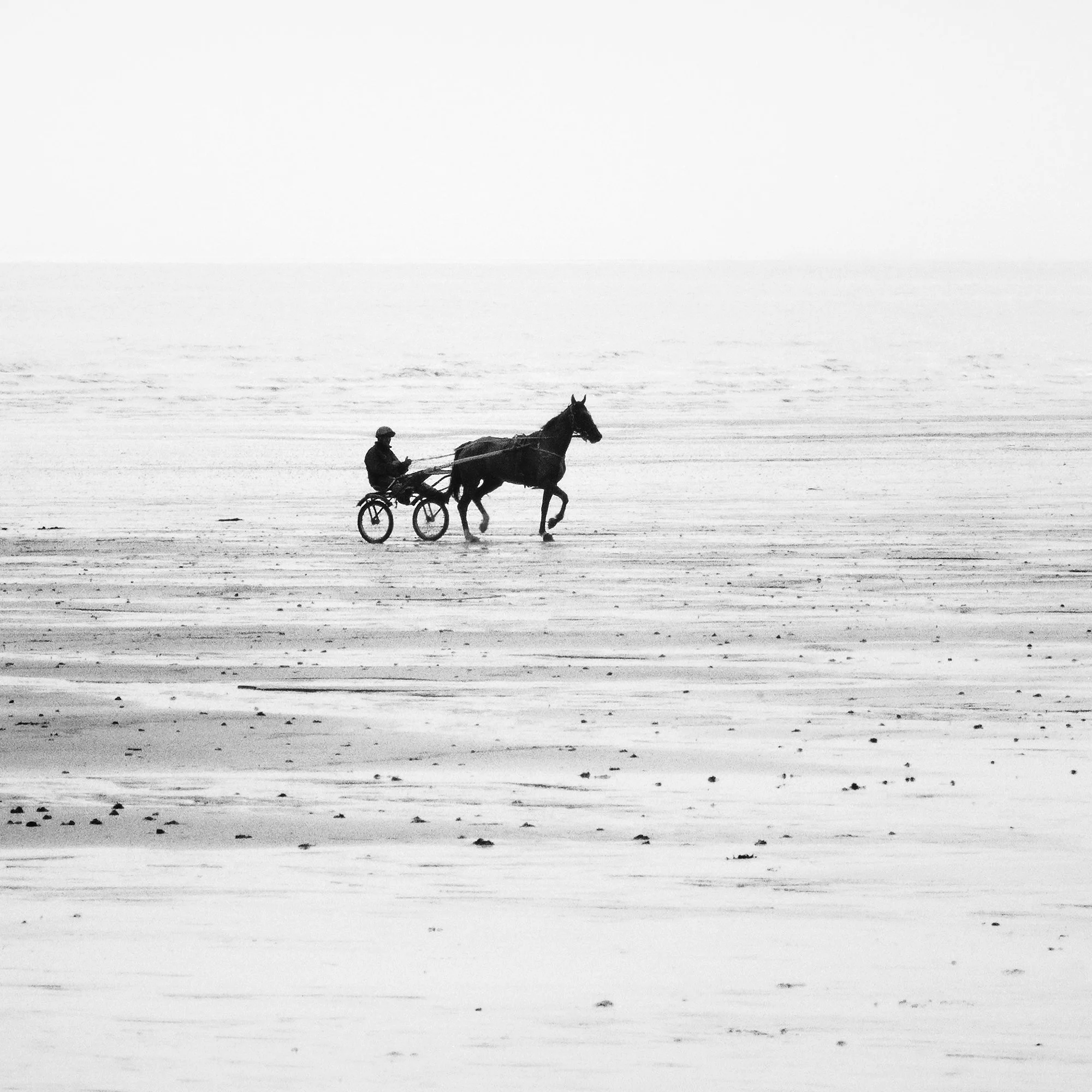 Close-up of the harness-racing horse, driver and sulky on a beach in France by Gerald Berghammer.