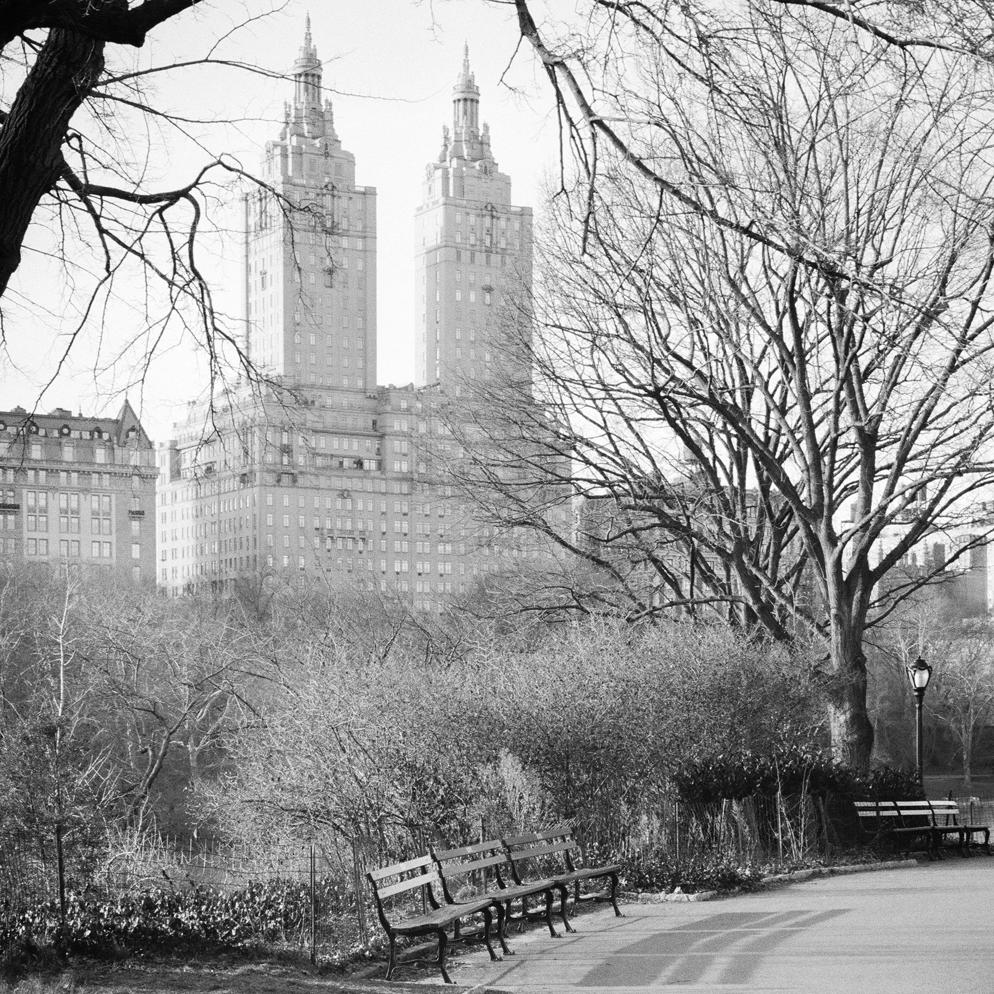 Detail of The San Remo towers framed by trees in The San Remo Study 2 by Gerald Berghammer, New York City.