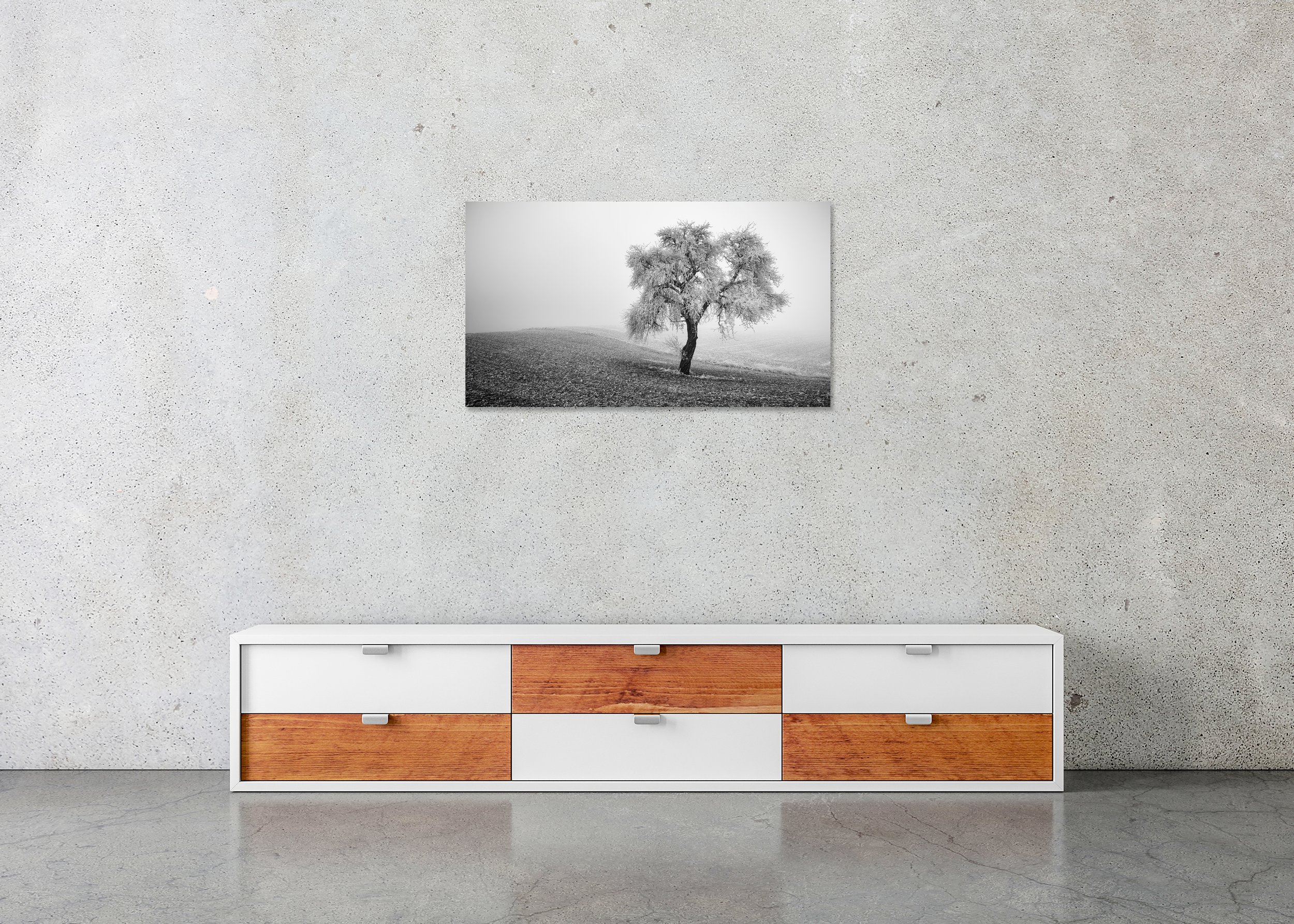 Black and white photo of an icy tree standing alone in a winter field, photo print mounted to Dibond, frameless