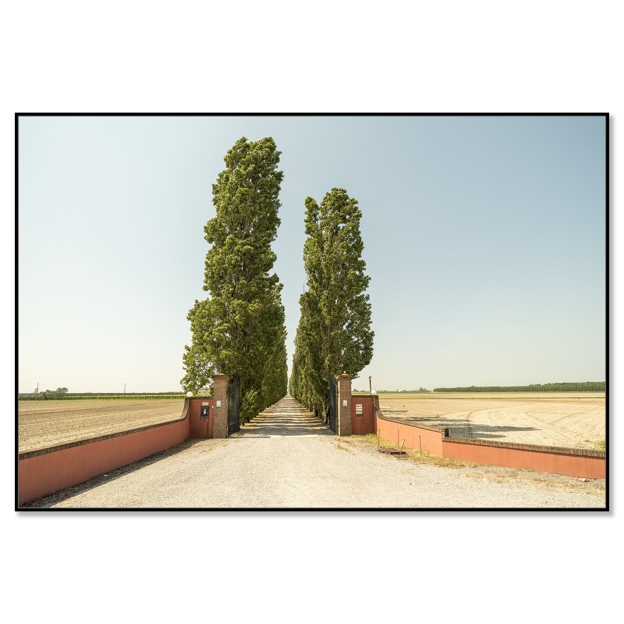 The Way to the Vineyard in a black aluminium ArtBox frame.