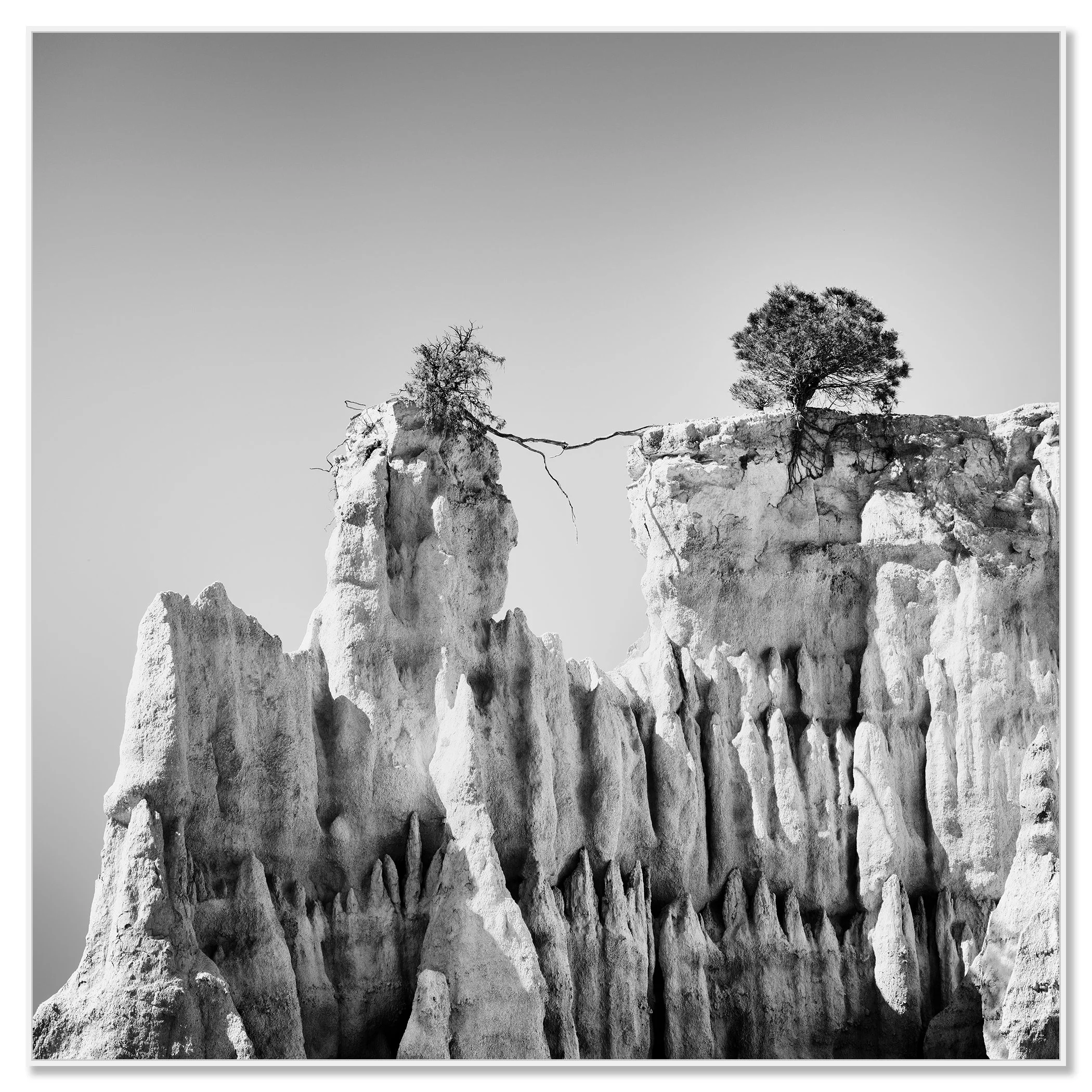 The Organs of Ille-sur-Tet Study 3 mounted on aluminium Dibond in a white ArtBox frame by Gerald Berghammer.