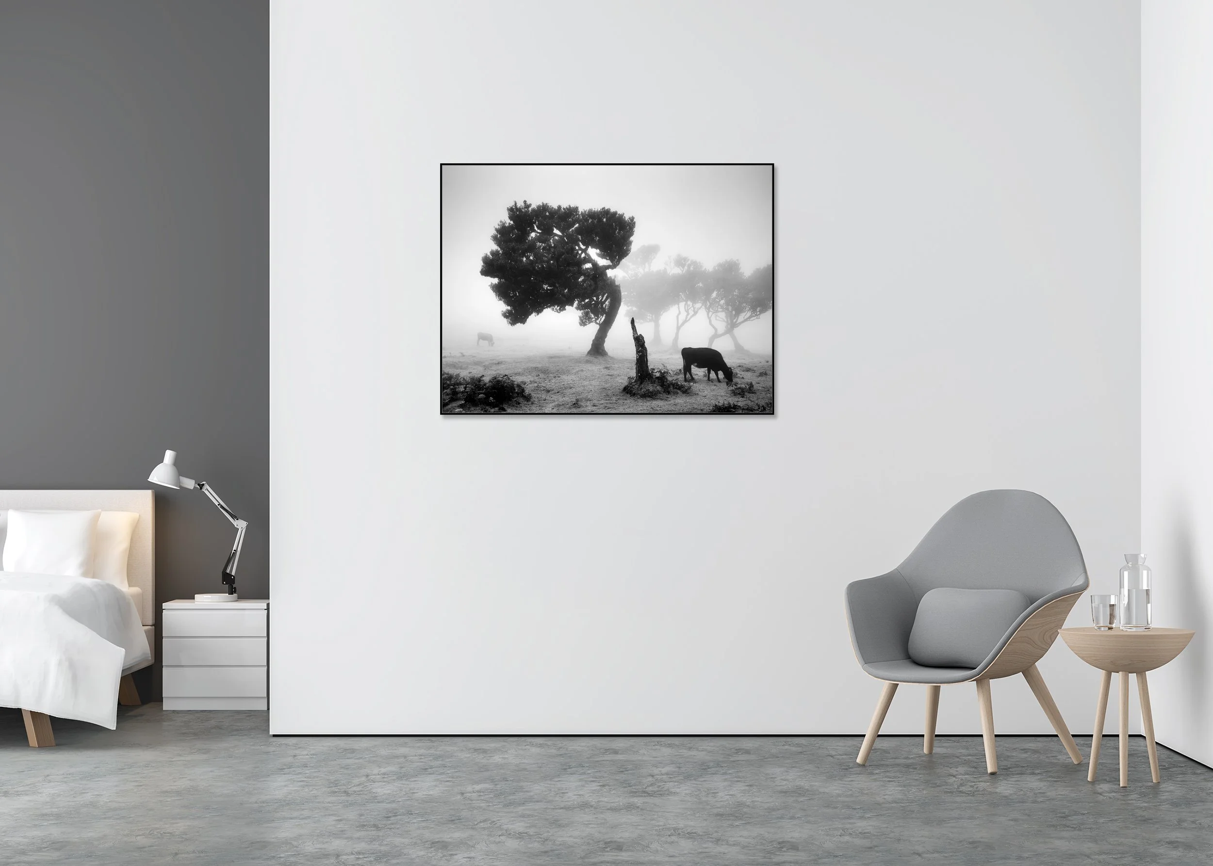 Cows on a Foggy Pasture, Study 1 – Madeira, black-and-white photograph on Dibond in an aluminium ArtBox displayed in a minimalist interior. Photo by Gerald Berghammer.