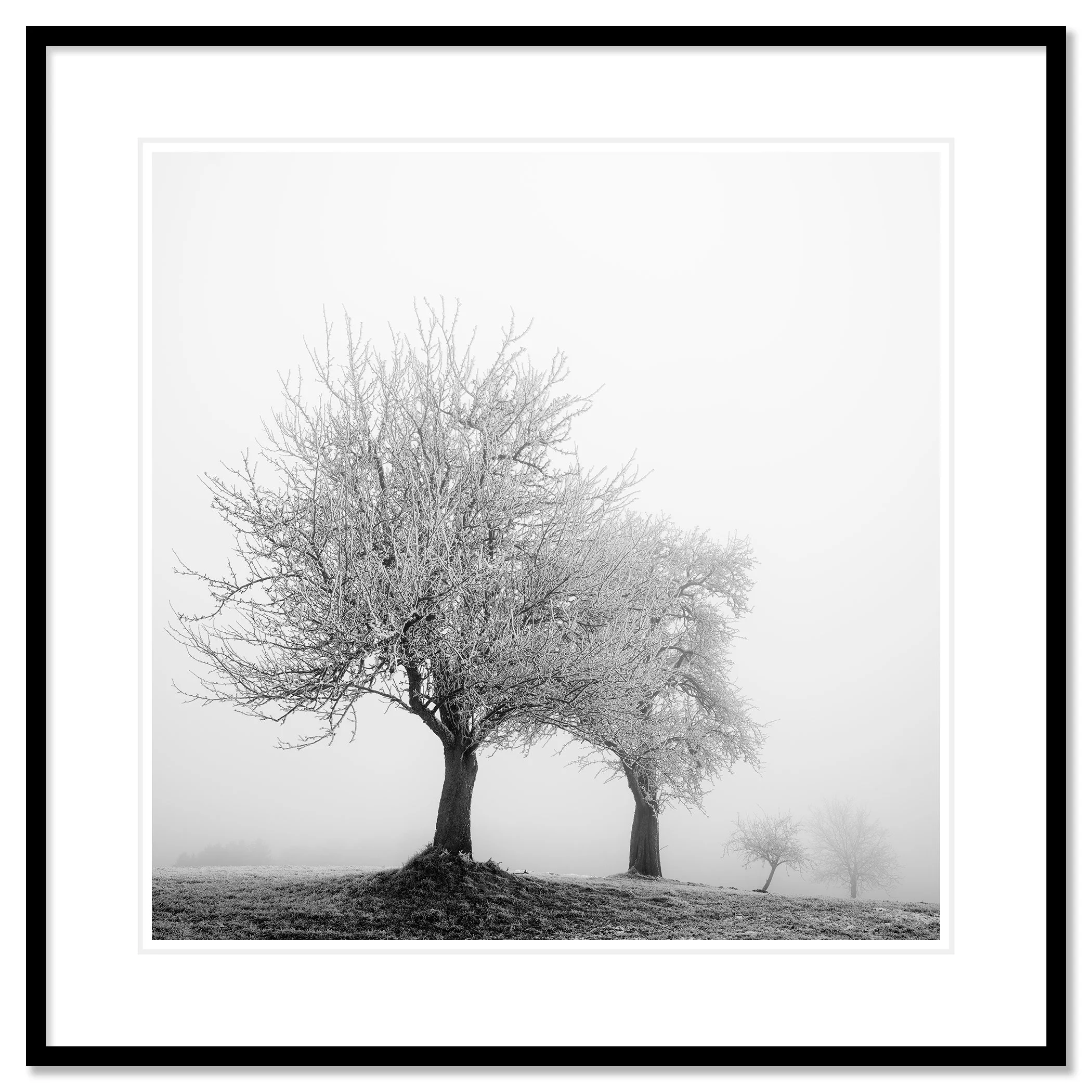 Frozen Landscape Study 1, black-and-white winter print in a black frame with white mount by Gerald Berghammer.