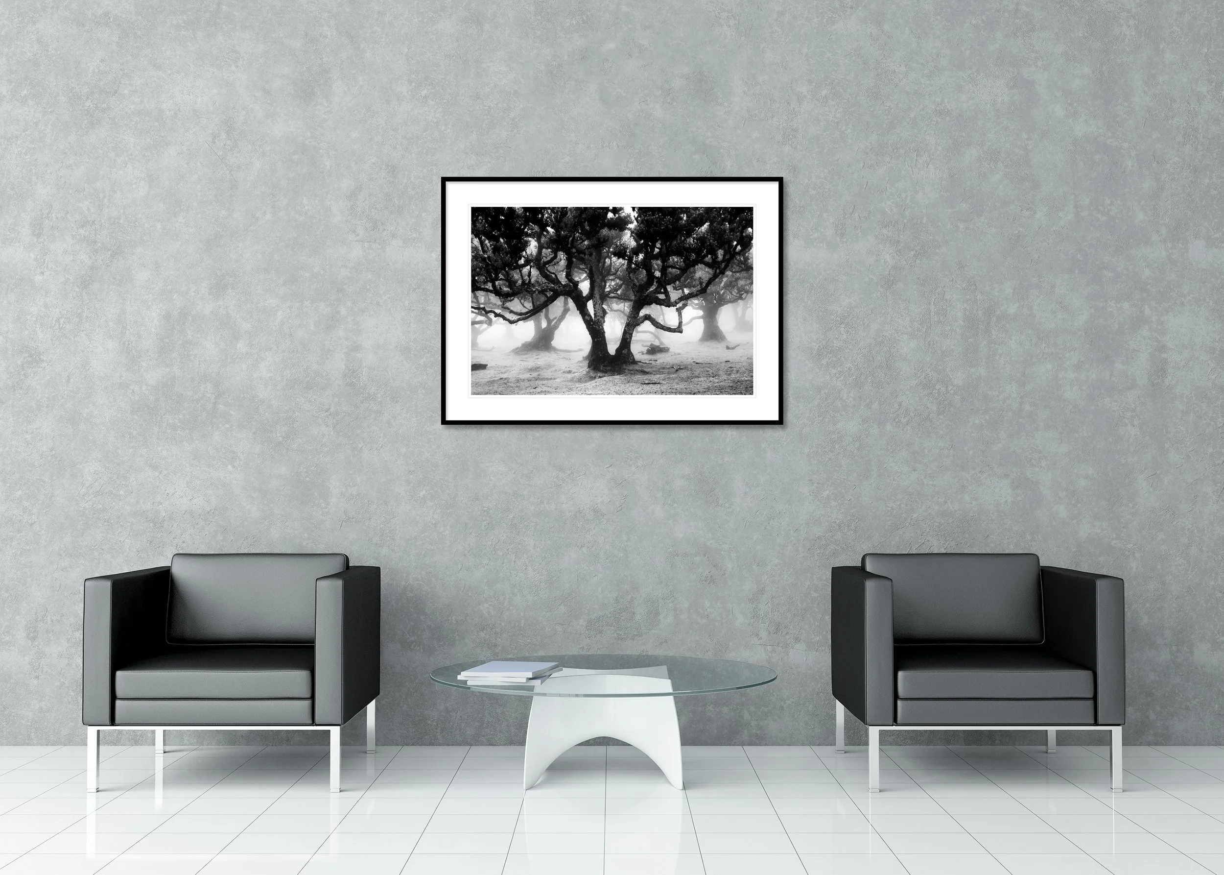 Moody black and white forest scene with ancient twisted trees, archival pigment print in a classic frame with a mount