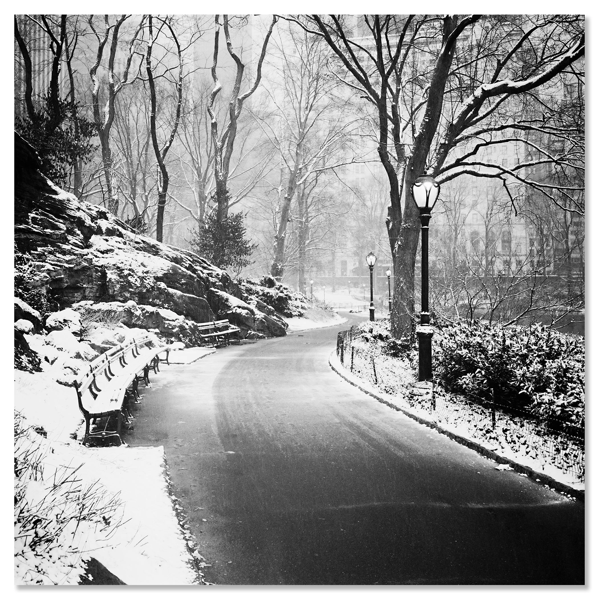 Snow-Covered Central Park Study 3 – New York City, USA, black-and-white photograph mounted on frameless Dibond