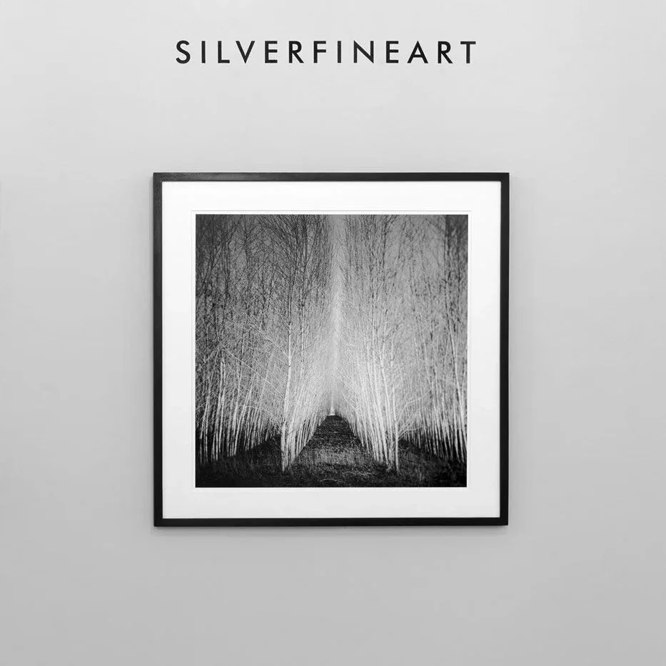 ART AFFAIR II 2019 at SILVERFINEART Gallery in Vienna, framed black-and-white birch woodland photograph by Gerald Berghammer beneath the gallery sign.