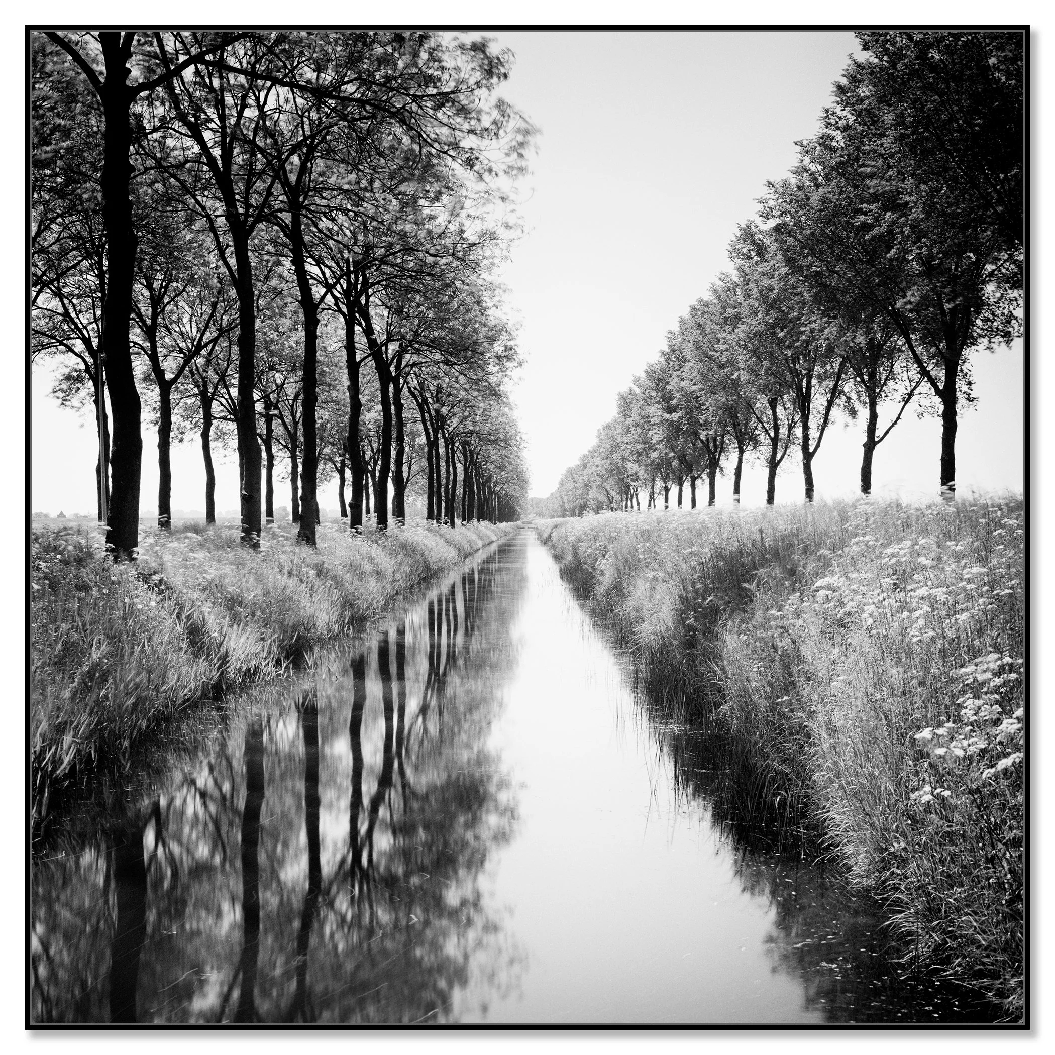 Gracht Study 1, Netherlands black-and-white photograph in a black aluminium ArtBox frame