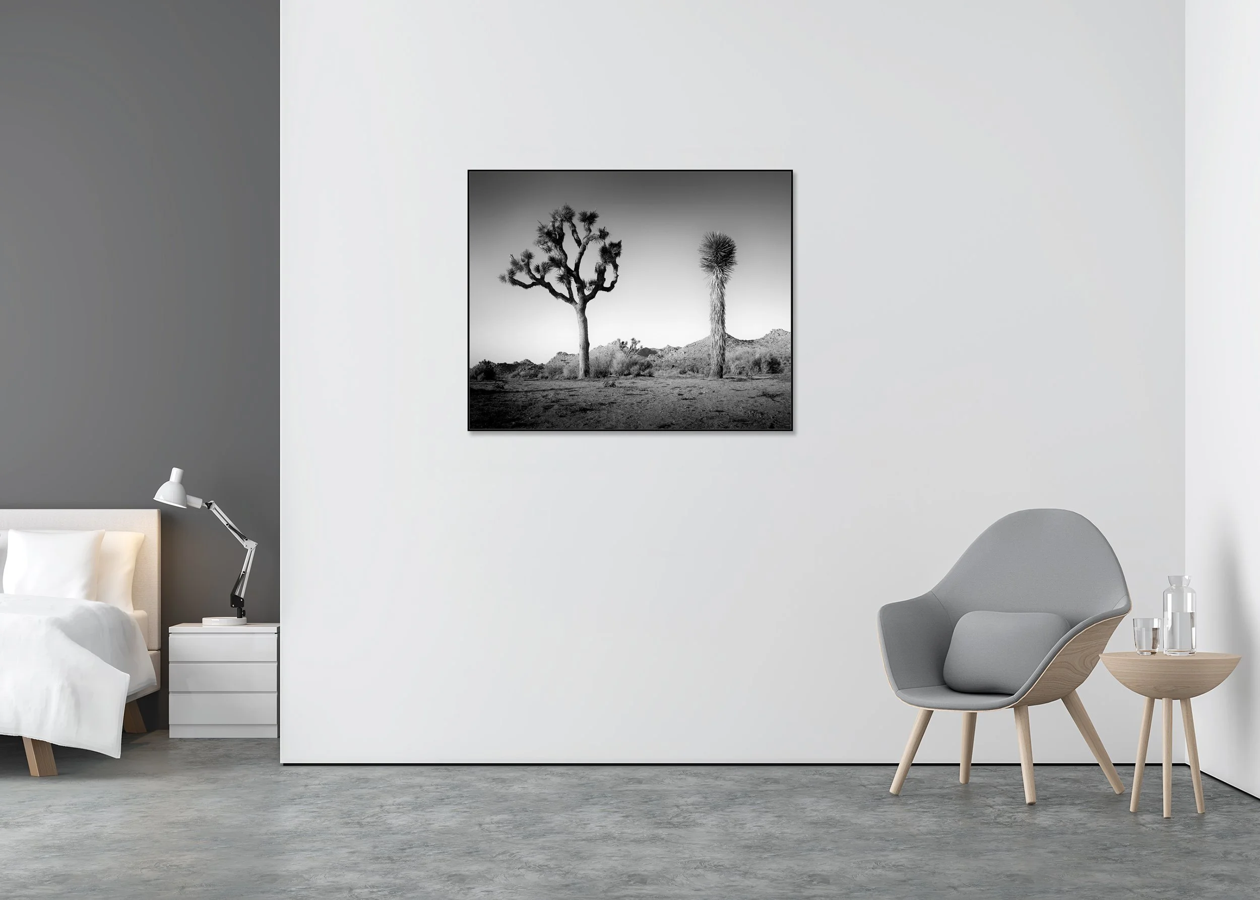 Gerald Berghammer - California Desert Joshua Tree, desert landscape, USA, CromaLuxe print, aluminium art box