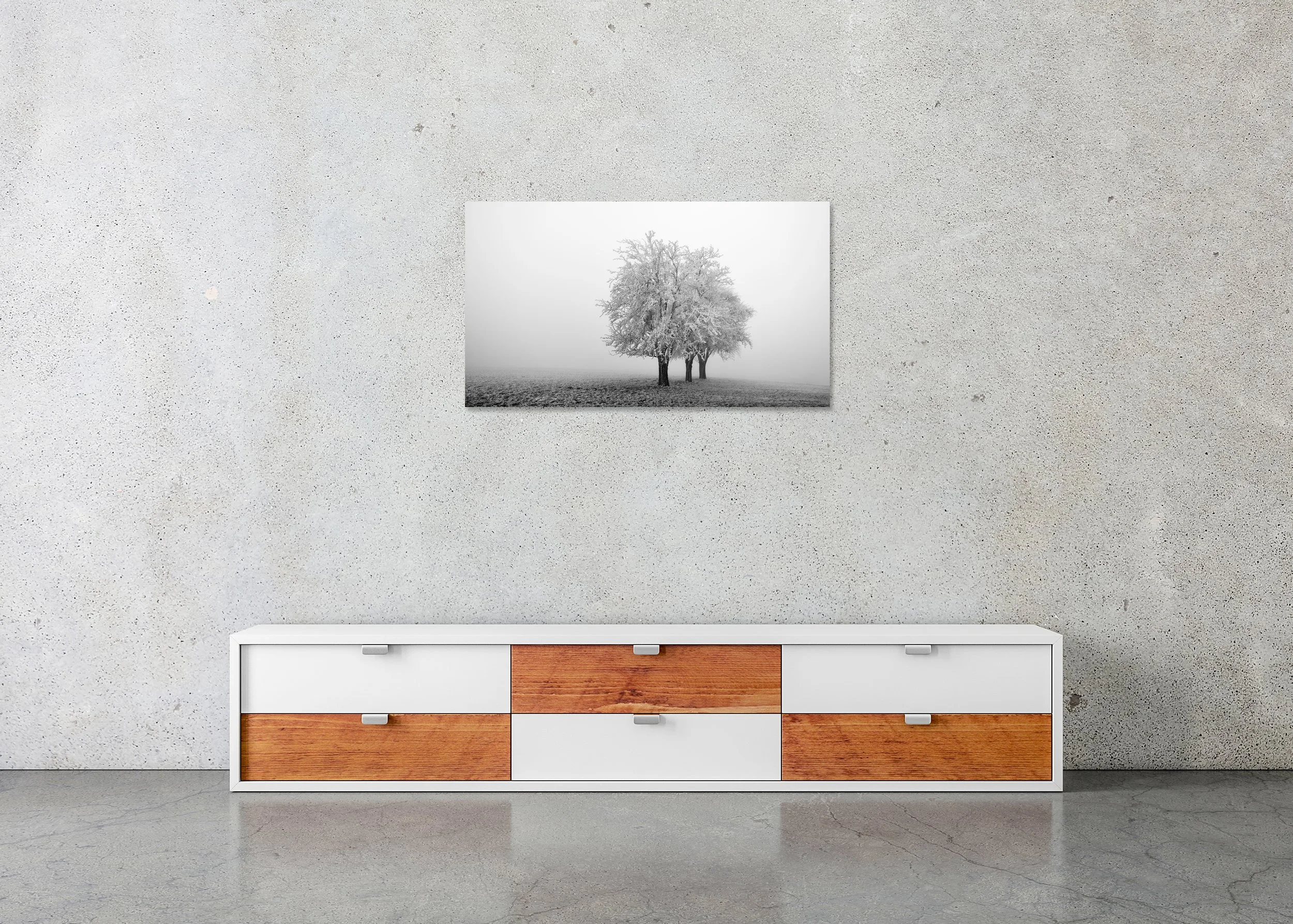 Frozen Apple Trees Panorama Study 1 displayed in a modern interior as a frameless black-and-white aluminium Dibond print by Gerald Berghammer.