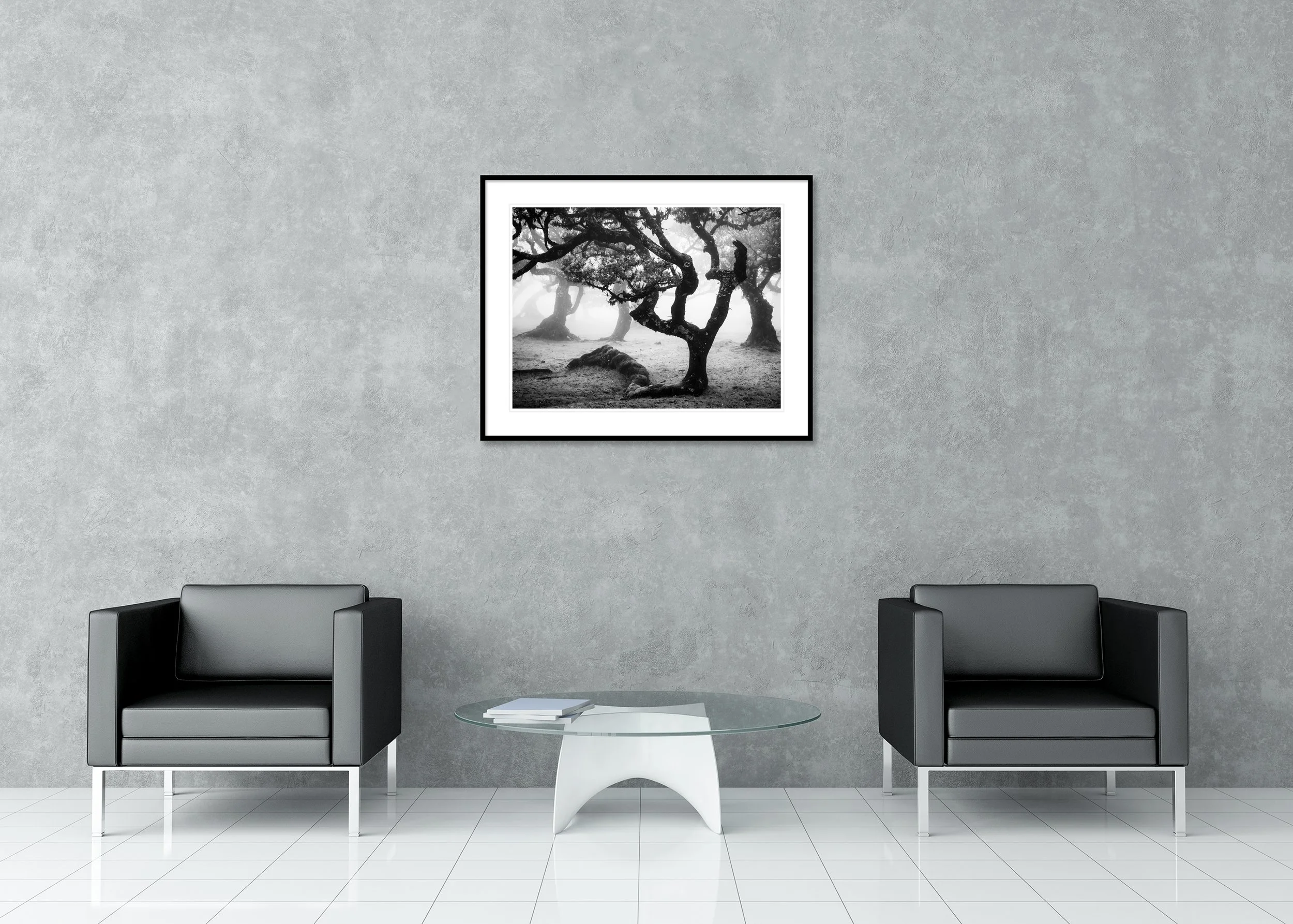 Ancient Laurisilva Forest, Study 13 displayed in a modern interior as an archival pigment print in an aluminium frame with a white mount by Gerald Berghammer.