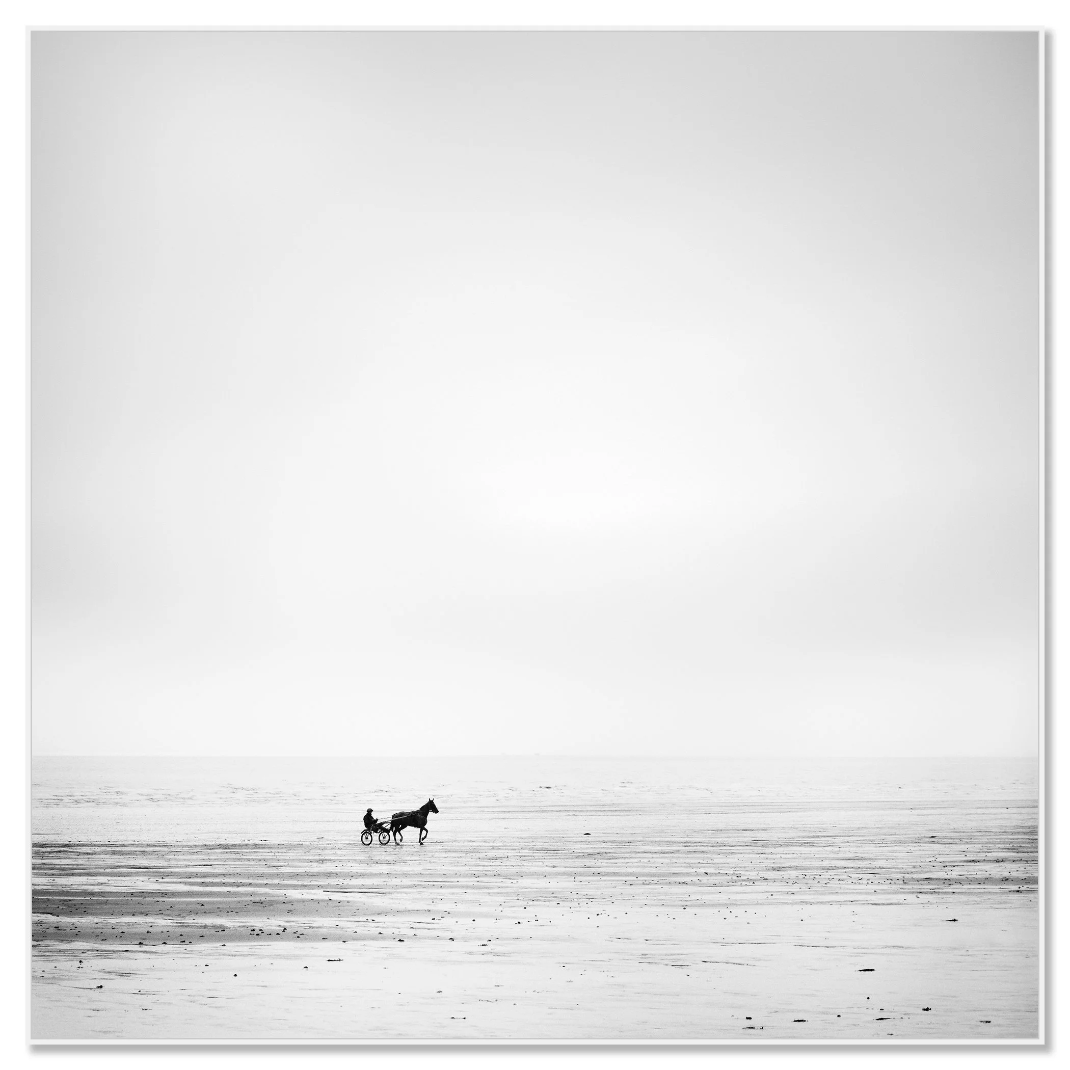 Black-and-white harness-racing horse and sulky speeding along an empty shoreline – framed ArtBox white