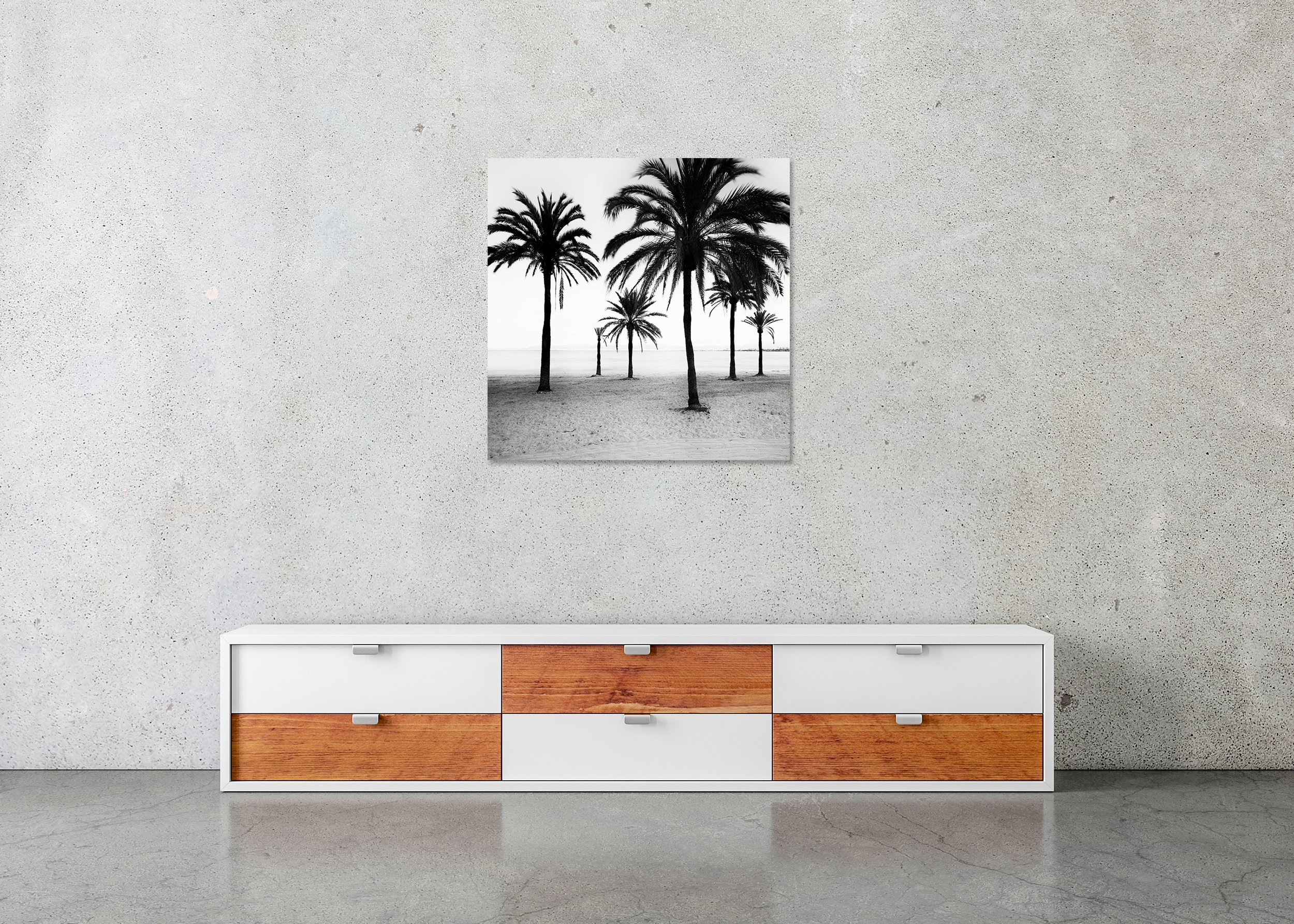 Black-and-white minimalist landscape of palm trees on a beach shoreline with ocean behind – ChromaLuxe metal print, frameless.