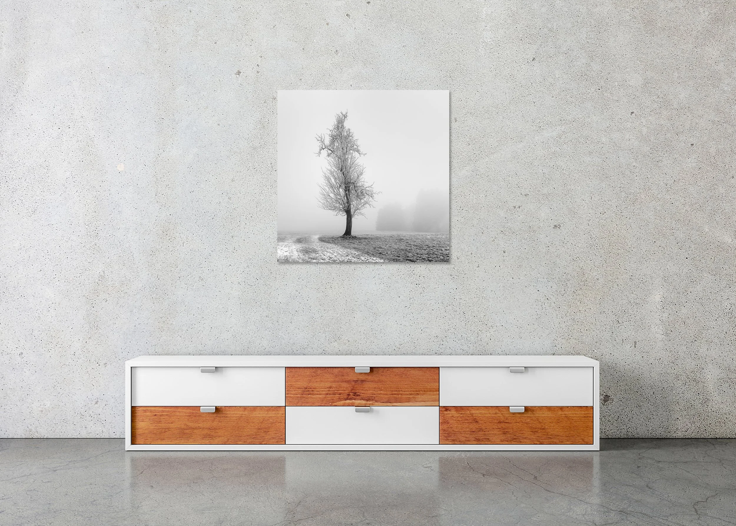 Frozen Farmland Study 1 displayed in a modern interior as a frameless black-and-white aluminium Dibond print by Gerald Berghammer.