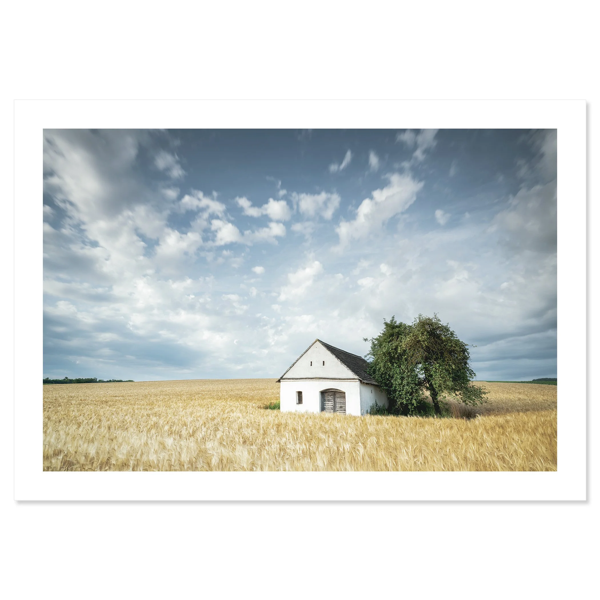 © 2021 Gerald Berghammer - Color Fine Art Landscape Photography. Small wine press in a golden cornfield, beside a large green tree under a partly cloudy sky. Fine art print only