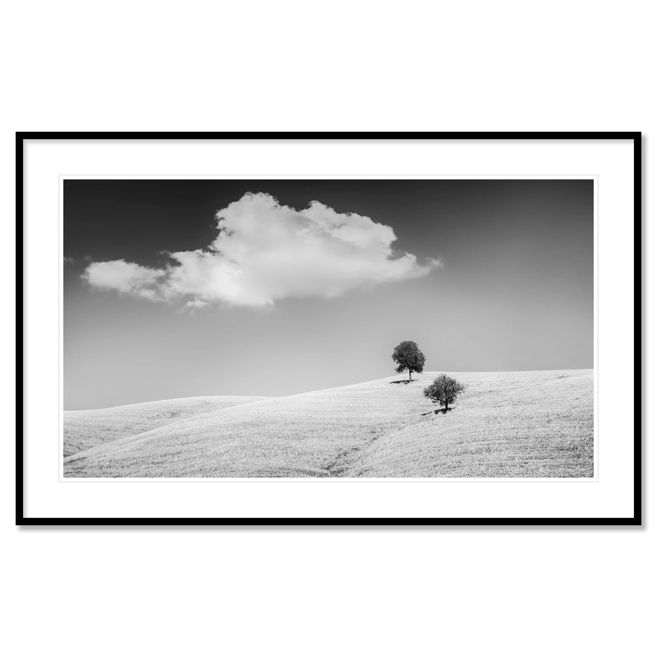 Rolling Hills with Trees Study 1 – Tuscany, Italy, black-and-white fine art print in a black aluminium frame with white mount