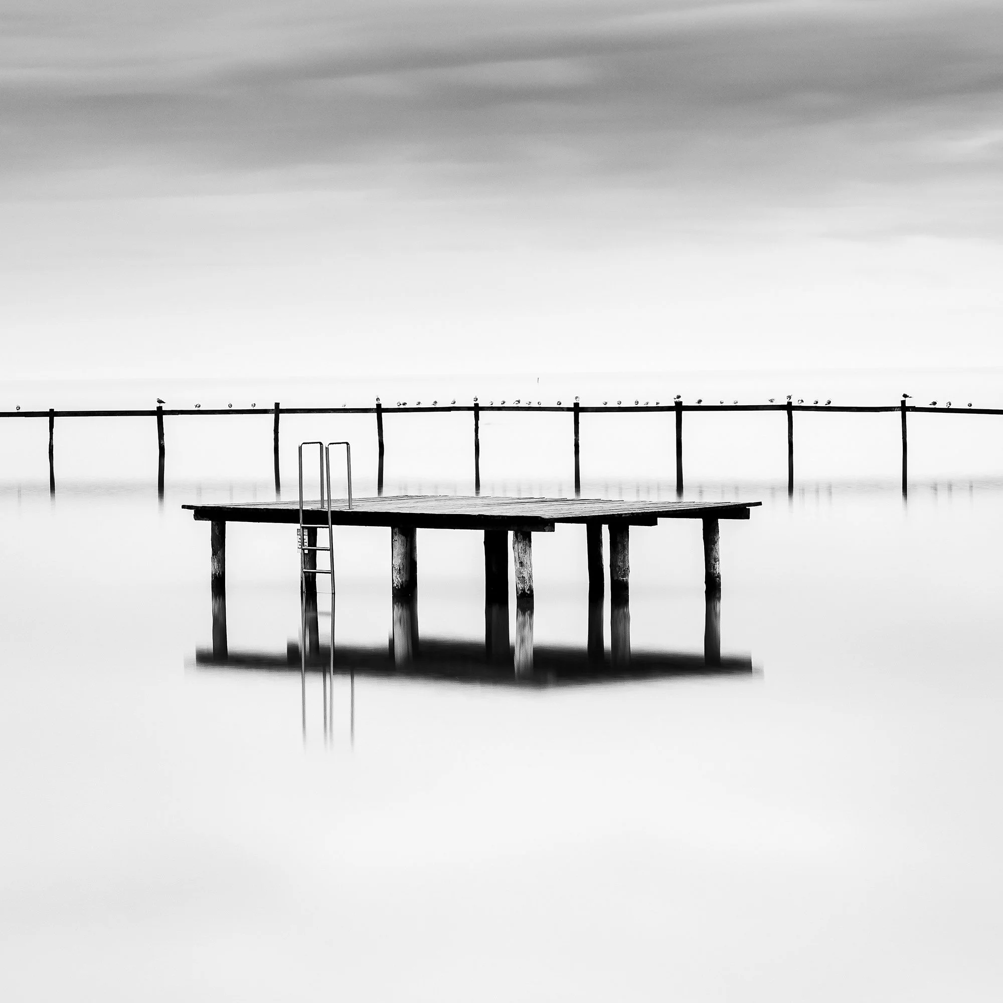 © 2023 Gerald Berghammer - Black and white minimalist waterscape. A calm body of water with a floating dock and a pier in the background, under a cloudy sky. Print detail 3