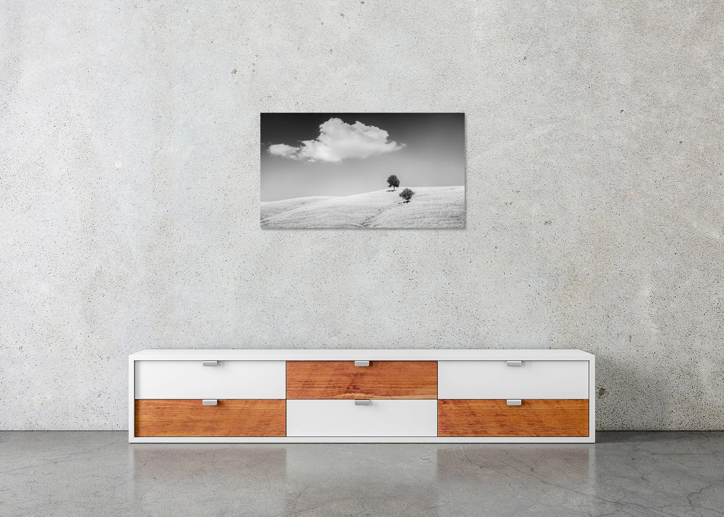 Rolling Hills with Trees Study 1, Tuscany, Italy, black-and-white photo print mounted to Dibond, frameless