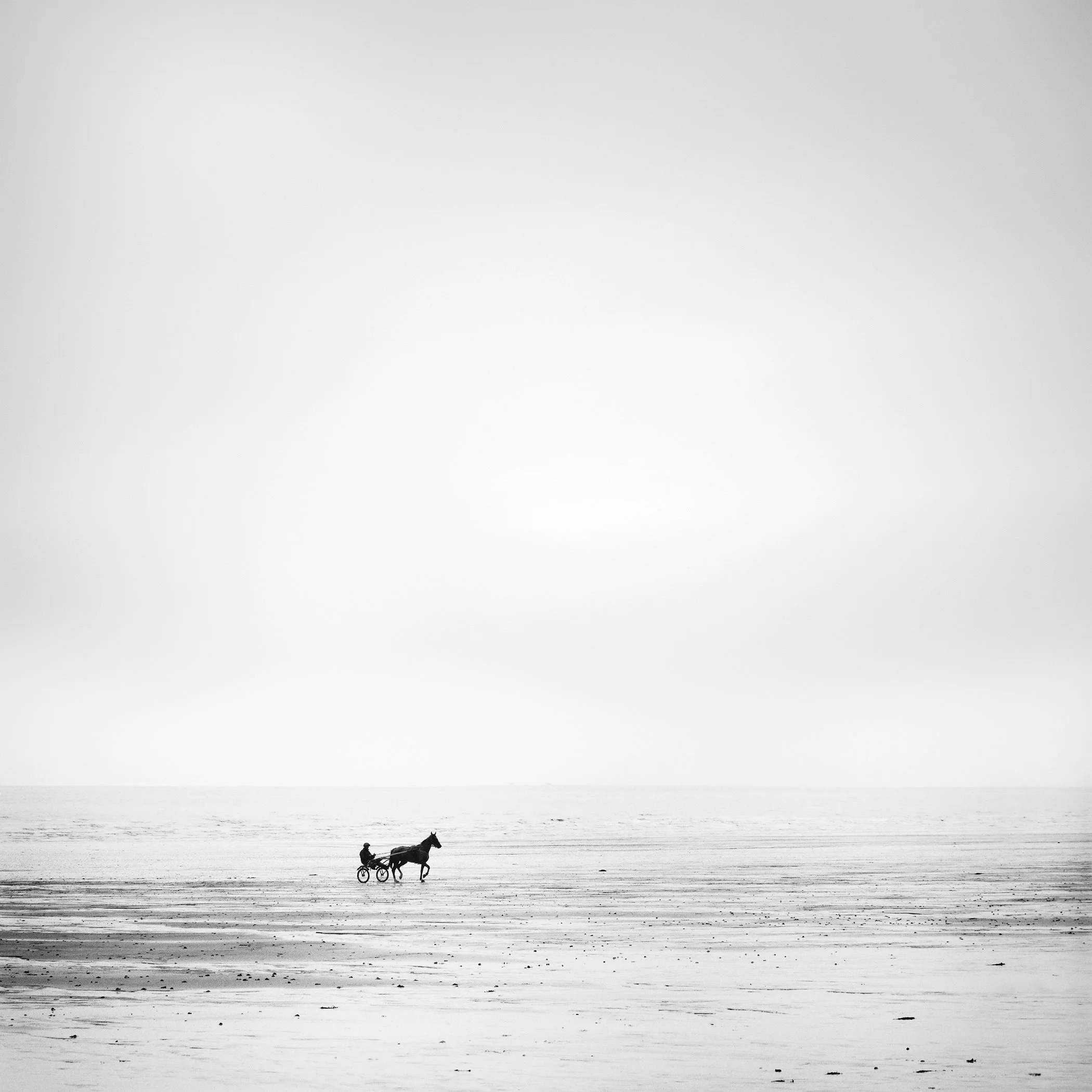 Black-and-white photograph of a harness racer driving a horse and sulky across a vast, empty shoreline, emphasizing scale, solitude, and minimalist composition
