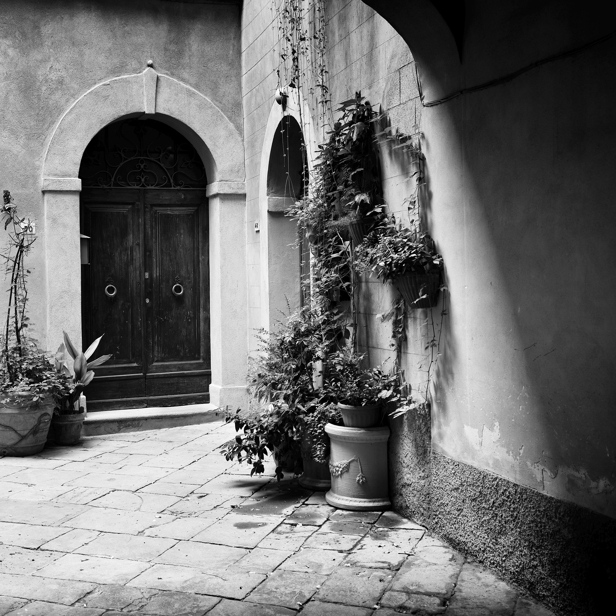 Gerald Berghammer - Black and white cityscape photography. A courtyard with a wooden door, arched doorways, and potted plants on a cobblestone floor. Print detail 2