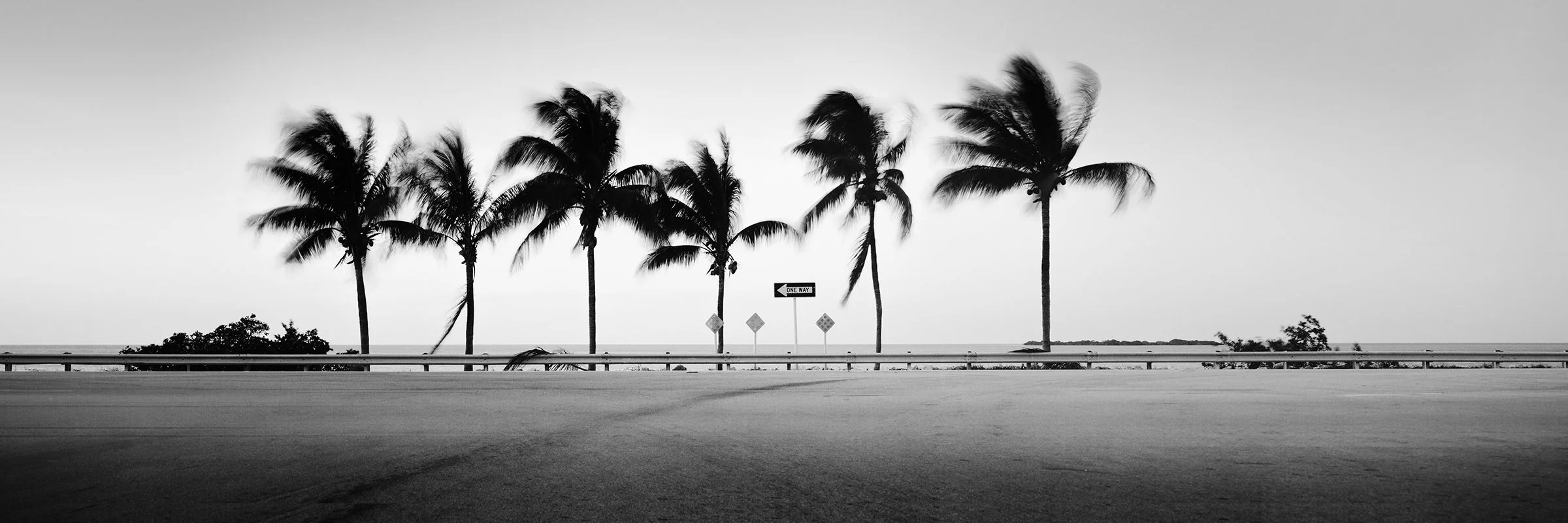 One Way Panorama Study 1, minimalist black-and-white fine art photograph of windswept palm trees and a One Way road sign in Florida by Gerald Berghammer.