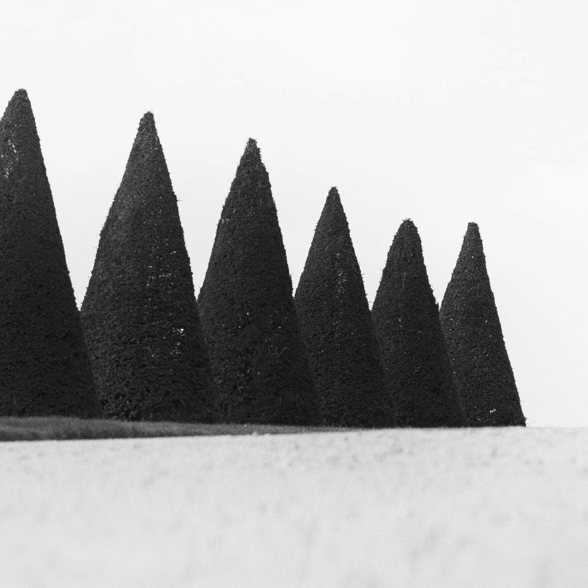 Hedges Study 3 – close-up detail showing the monochrome surface texture and tonal range by Gerald Berghammer.