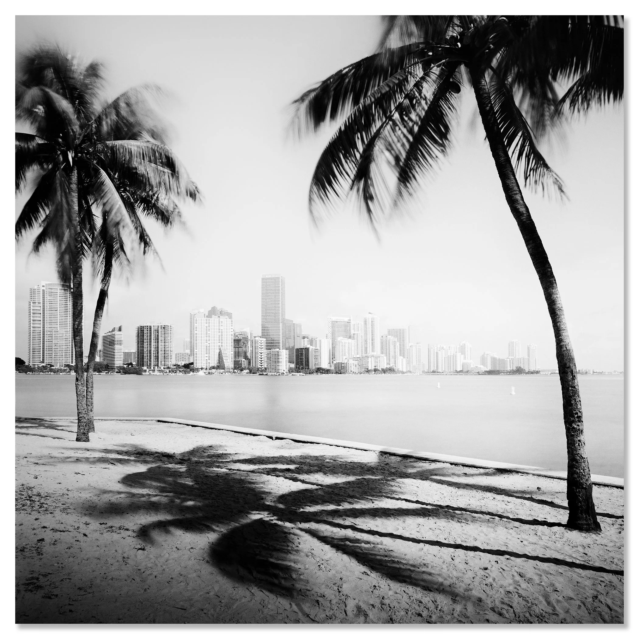 Gerald Berghammer - Black and white cityscape photography. Beach with palm trees in the foreground and the city skyline of Miami Beach in the background. Chromaluxe frameless