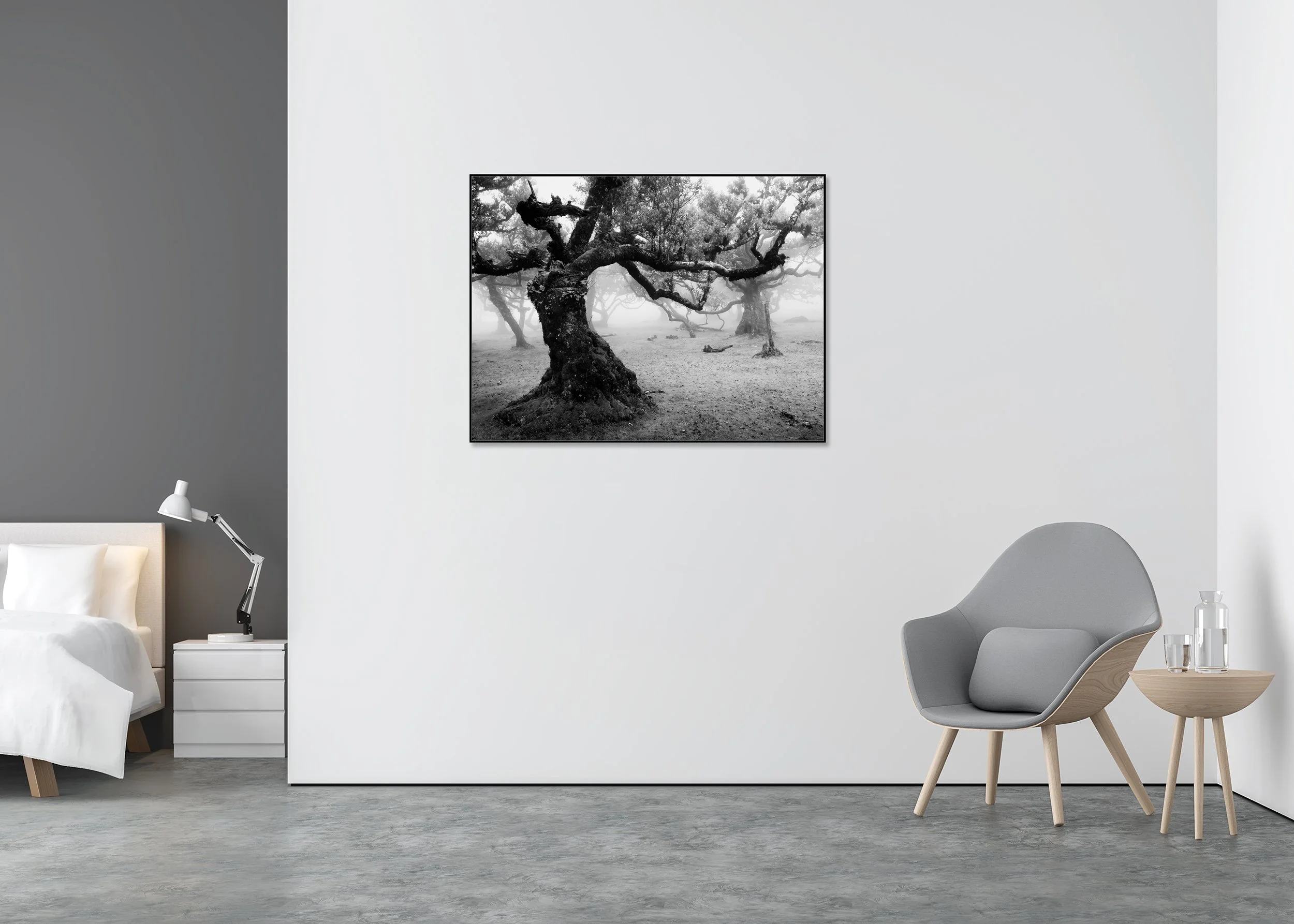 Ancient Laurisilva Forest, Study 17 – black-and-white photograph in a black aluminium ArtBox displayed in a minimalist bedroom.