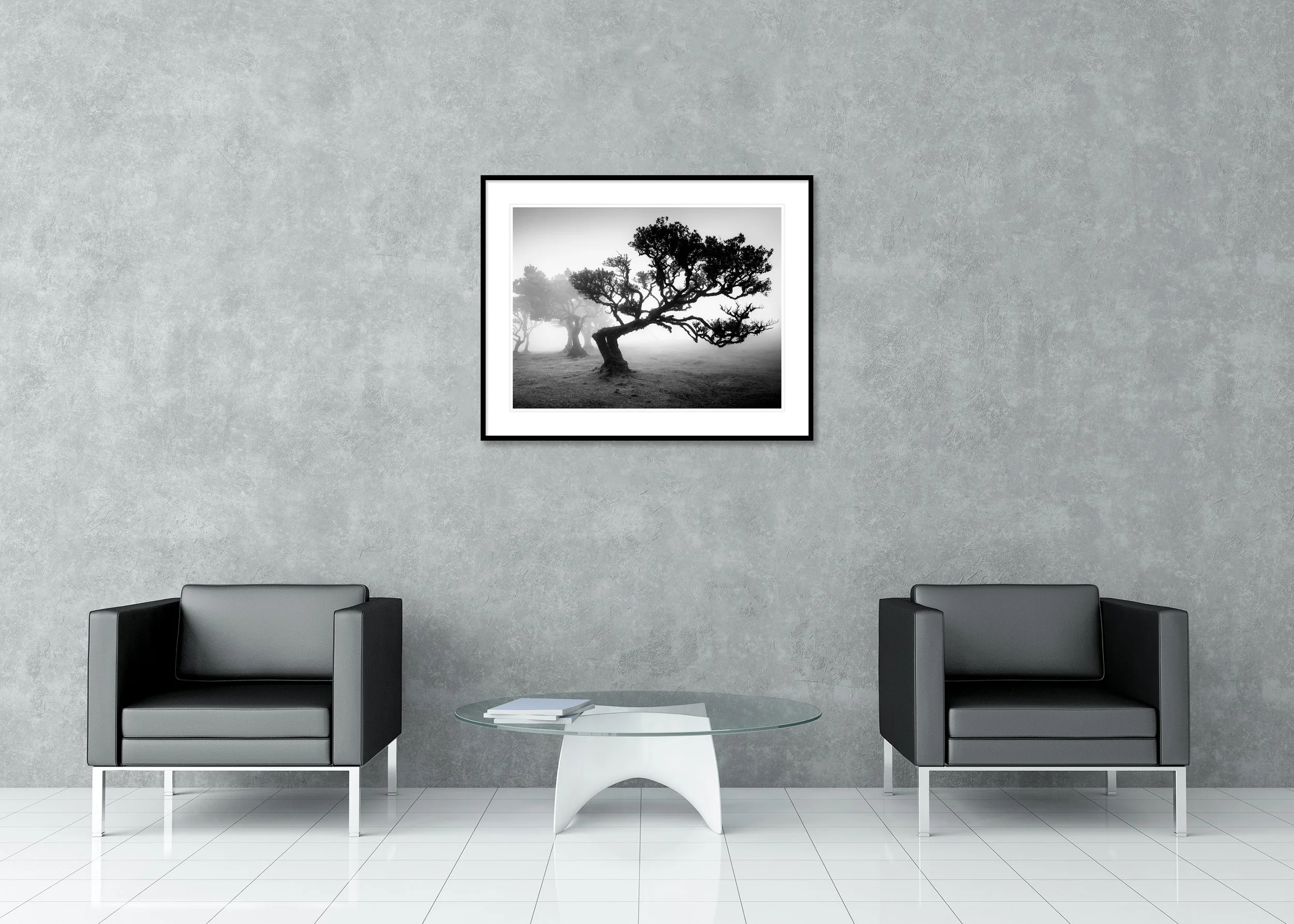 Ancient Laurisilva Forest Study 1 displayed in a modern interior as an archival pigment print in a black aluminium frame with a white mount. Photo by Gerald Berghammer.