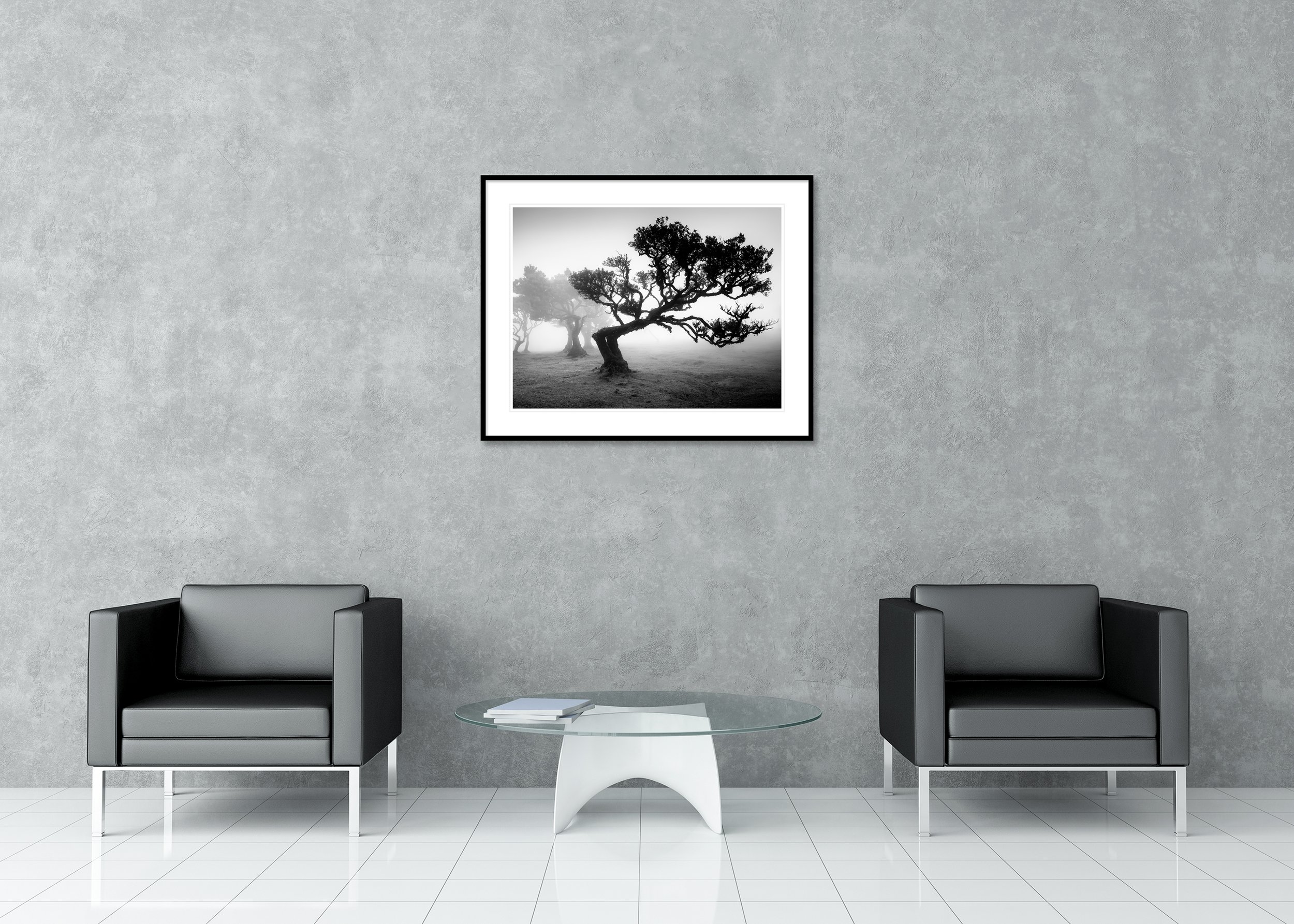 Mystical Madeira woodland with ancient laurel trees in dense mist, archival pigment print in a classic frame with mount