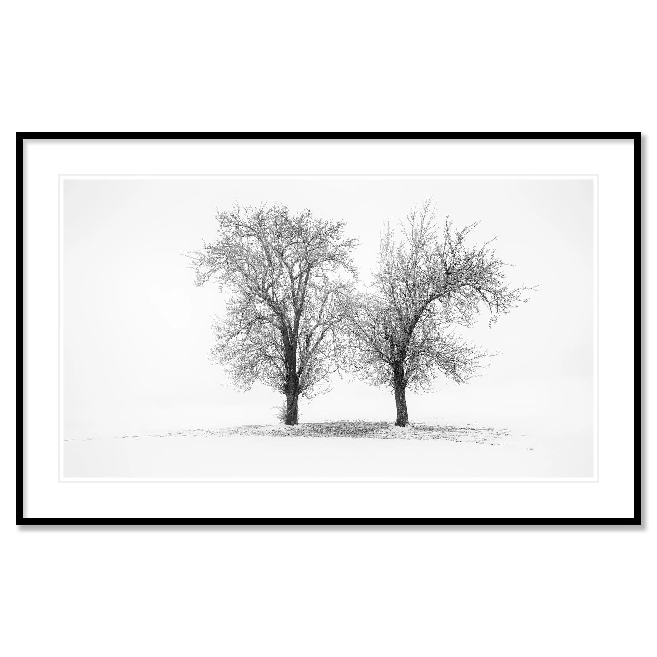 Still Winter Morning Study 1 – Austria in a black aluminium frame with white mount