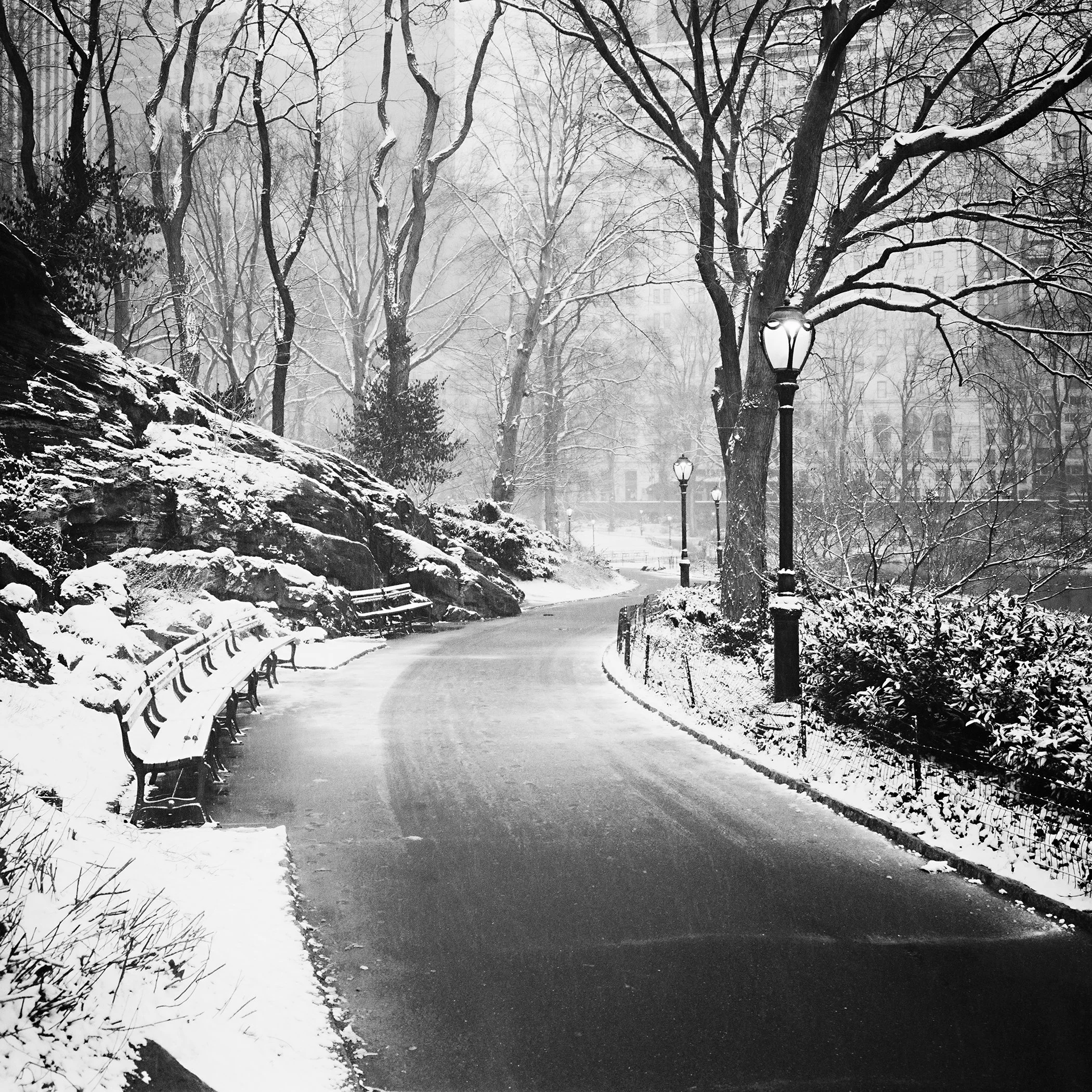 Snowy Central Park path in New York with benches, bare trees and lampposts, photographed in black-and-white by Gerald Berghammer.