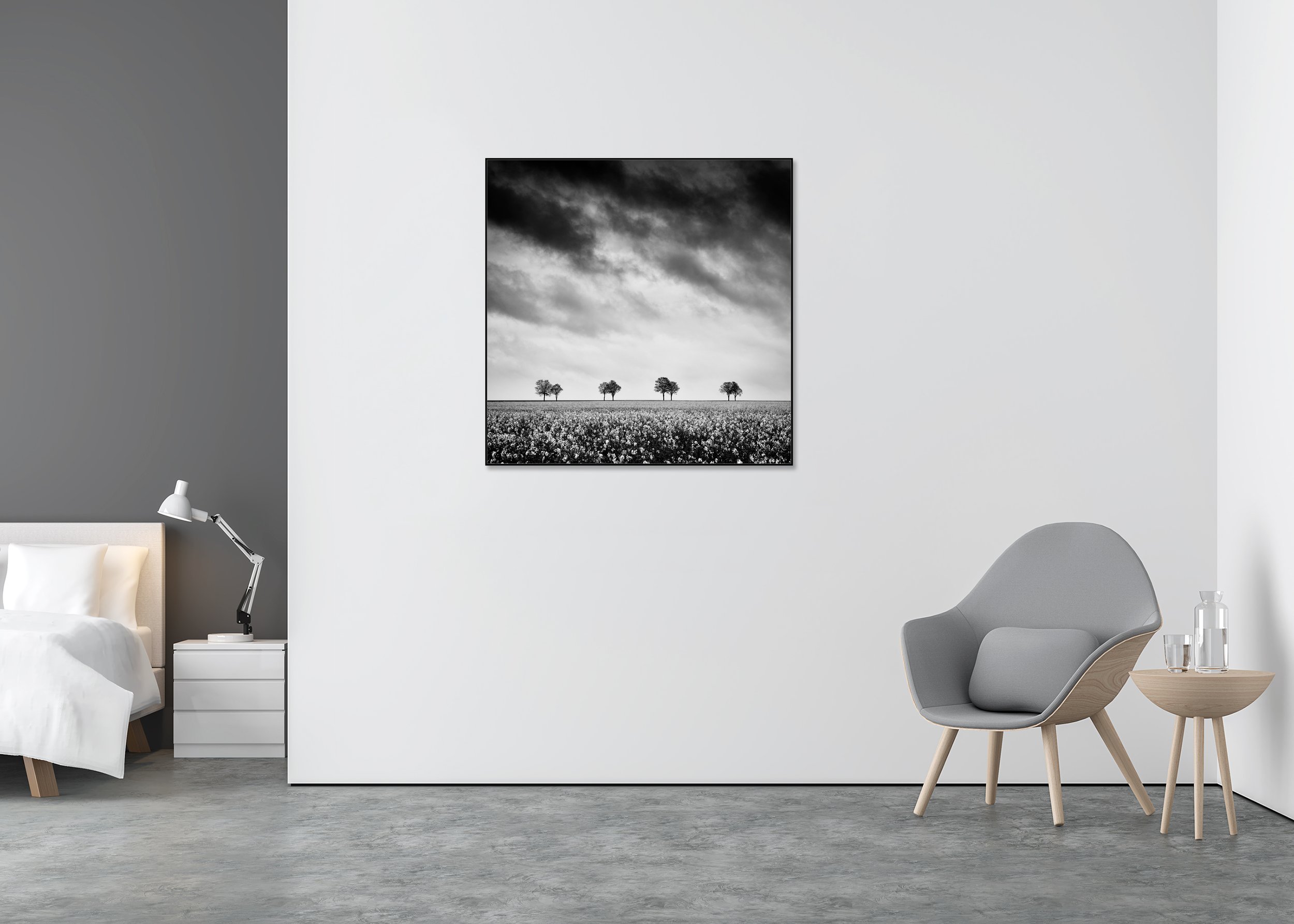 Row of Trees in Rapeseed Field Study 2 displayed in a modern interior, mounted on aluminium Dibond in a black ArtBox frame. Photo by Gerald Berghammer.