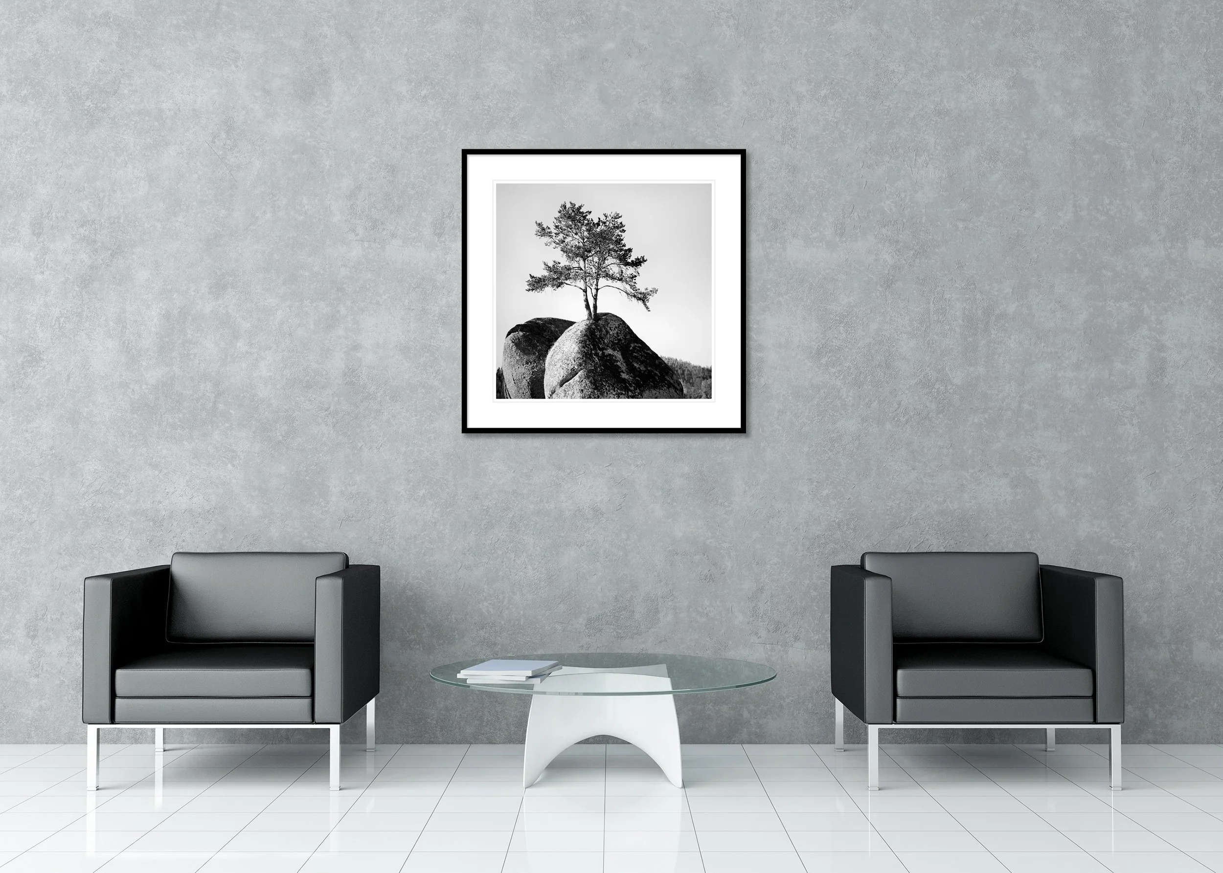 Black-and-white photograph by Gerald Berghammer featuring a solitary tree on a rock, presented as an elegant classic framed print with passepartout.