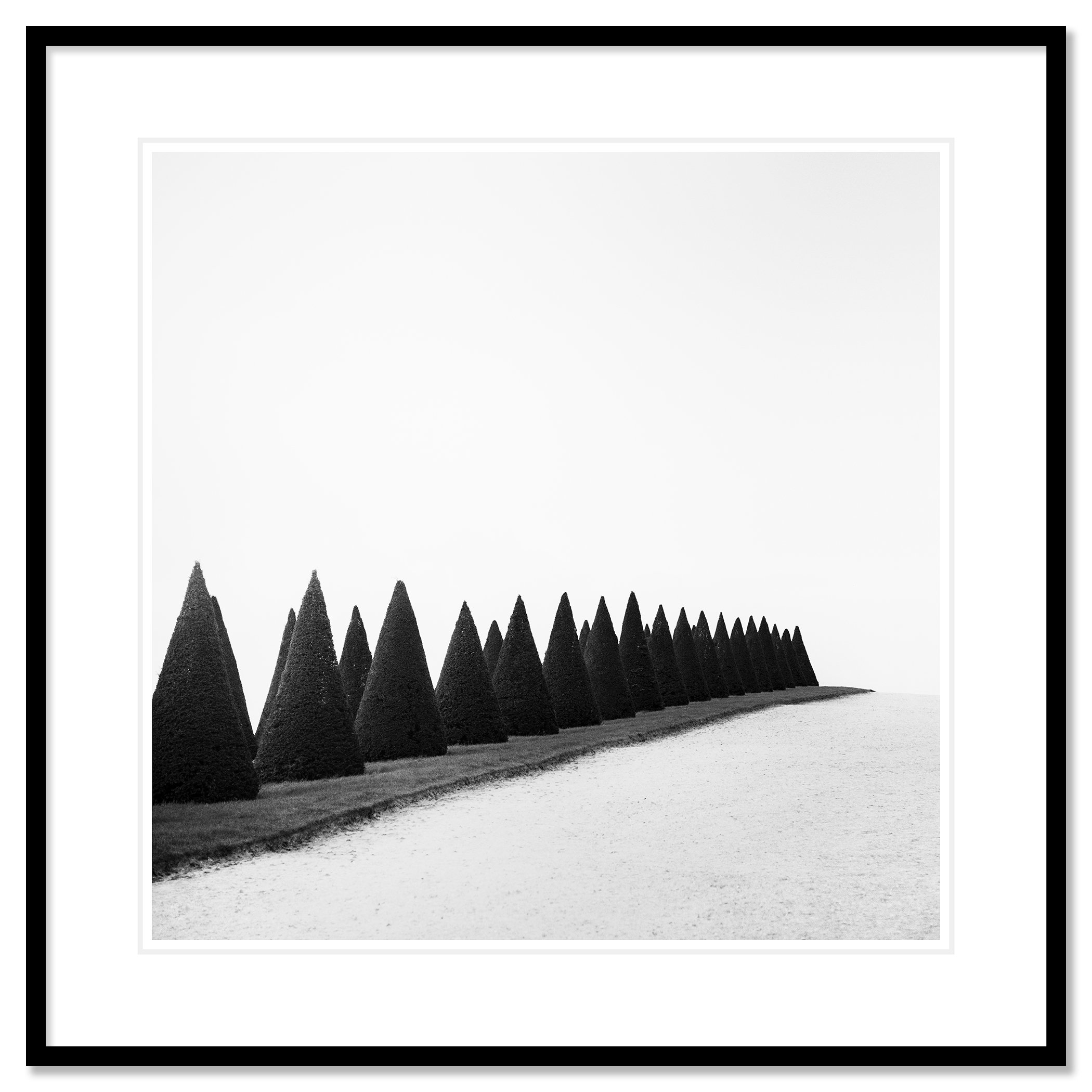 Hedges, Study 1 – black-and-white fine art print of Versailles hedges in a black aluminium frame with a white mount by Gerald Berghammer.