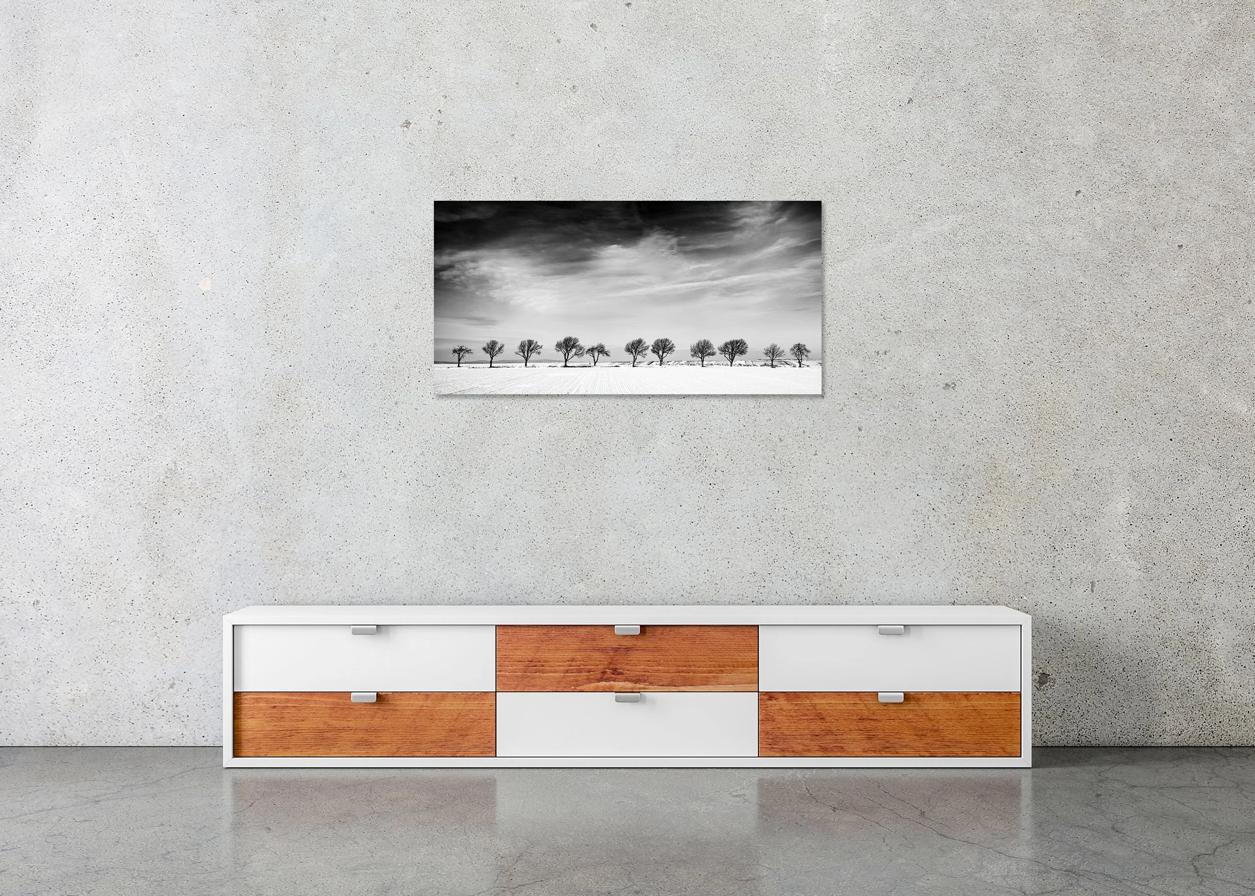 Eleven Trees in a Snow Field – Austria displayed as a frameless black-and-white photo print mounted on aluminium Dibond.