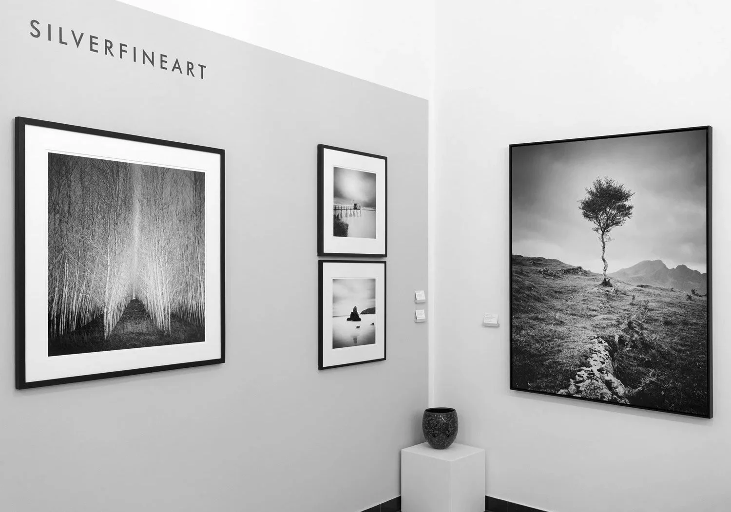Interior of ART AFFAIR II at SILVERFINEART Gallery in Vienna, displaying black-and-white forest, coastal and solitary tree photographs by Gerald Berghammer.