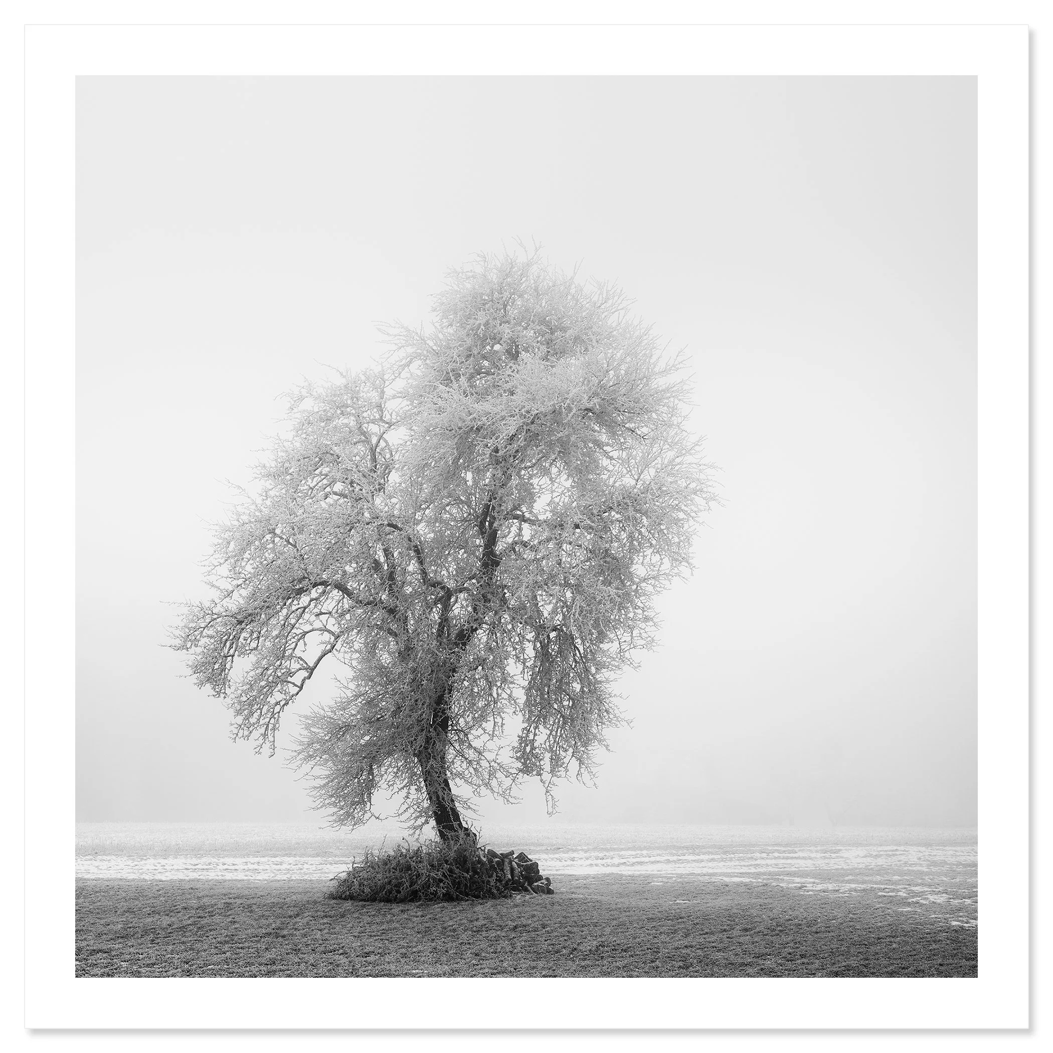 Frozen Farmland Study 2 by Gerald Berghammer, minimalist black-and-white winter landscape presented as a fine art print.