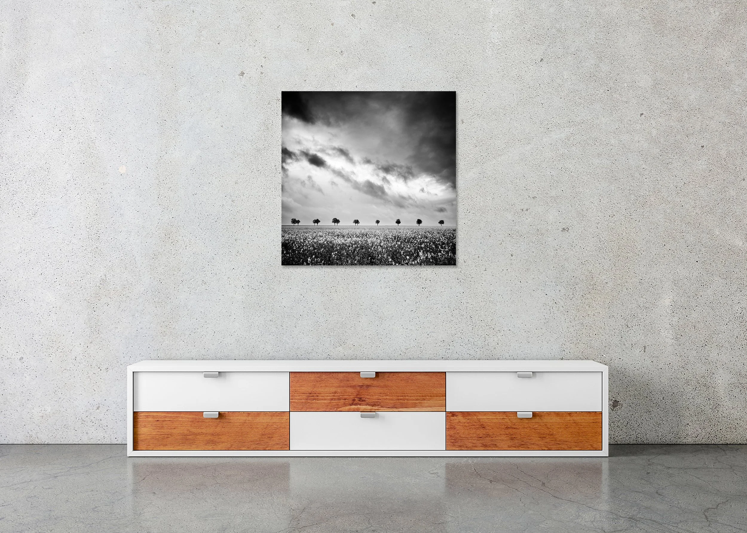 Row of Trees in Rapeseed Field Study 1 displayed in a modern interior as a frameless black-and-white artwork mounted on aluminium Dibond by Gerald Berghammer.