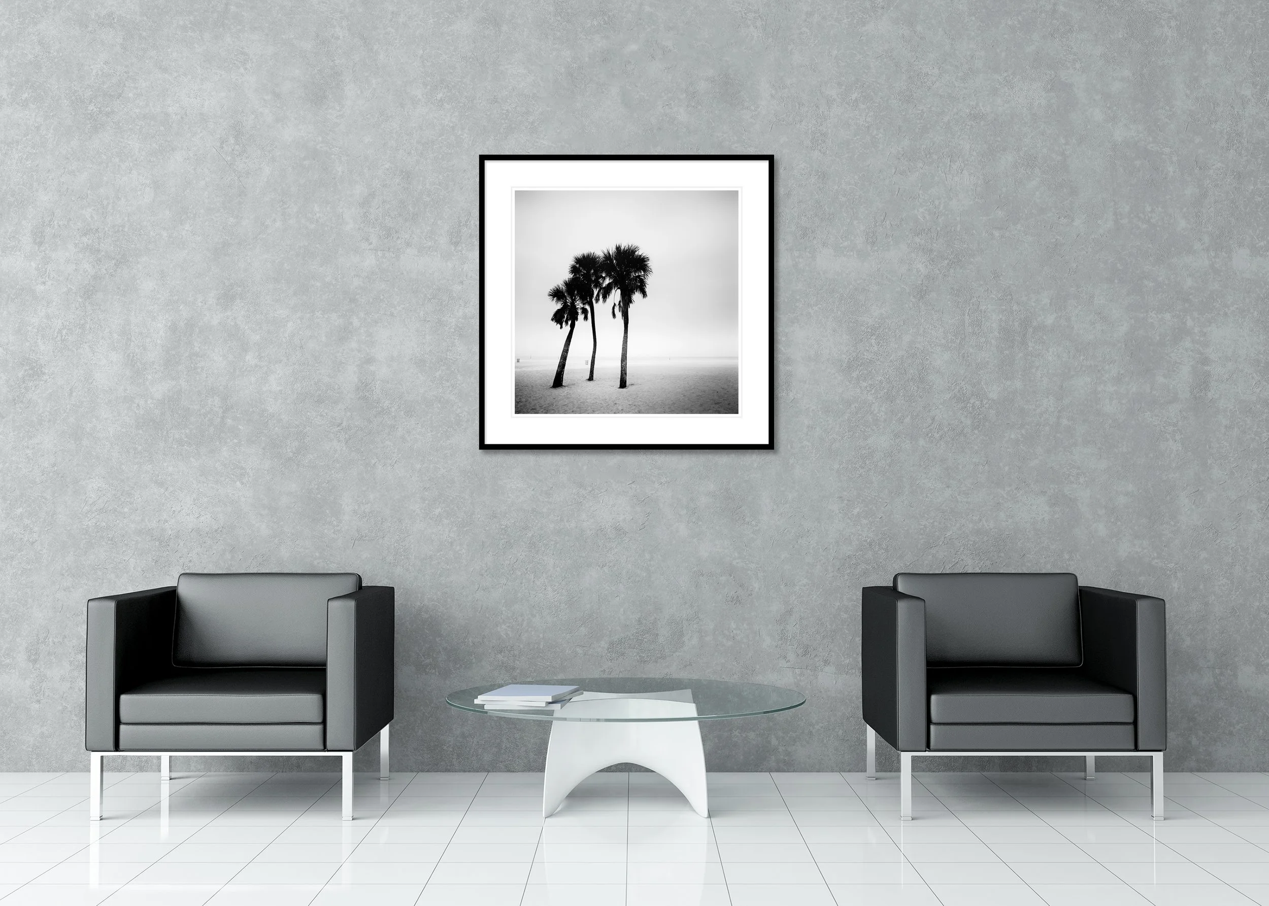 Palm Beach Study 1 displayed in a modern interior as an archival pigment print in a black aluminium frame with white mount by Gerald Berghammer.