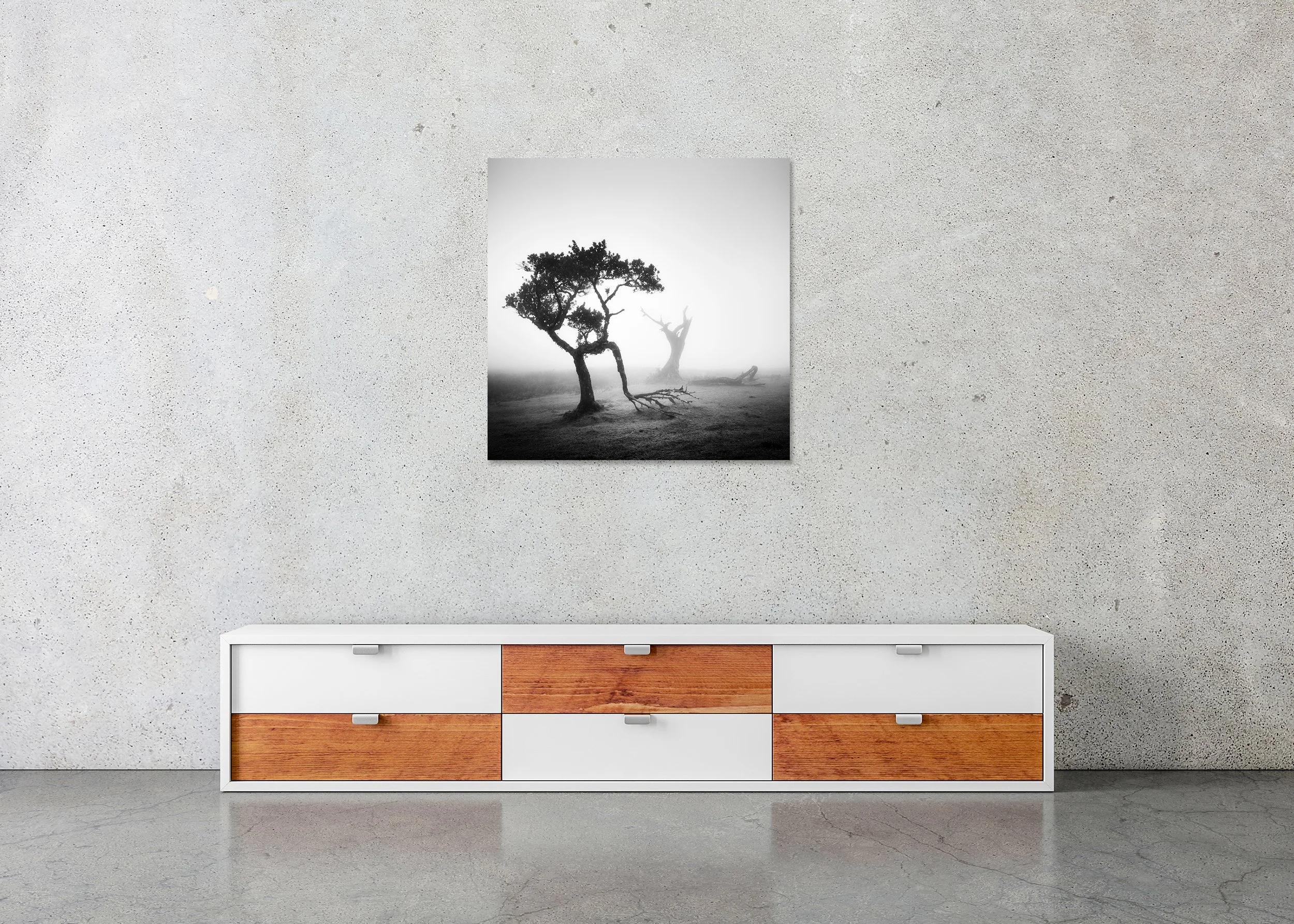 Atmospheric monochrome landscape on Madeira with two leafless trees in dense mist, one angled and partially collapsed, presented as a frameless ChromaLuxe metal print.