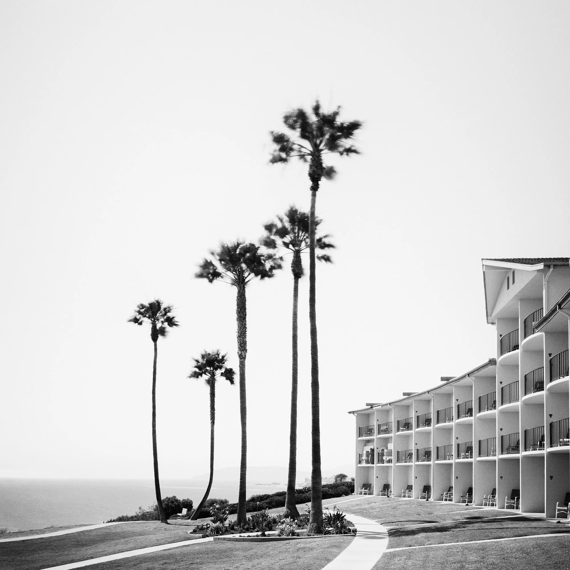 Gerald Berghammer - Black and white landscape photography. Seaside hotel with multiple balconies, a curved walkway, and tall palm trees near the ocean. Print detail 1
