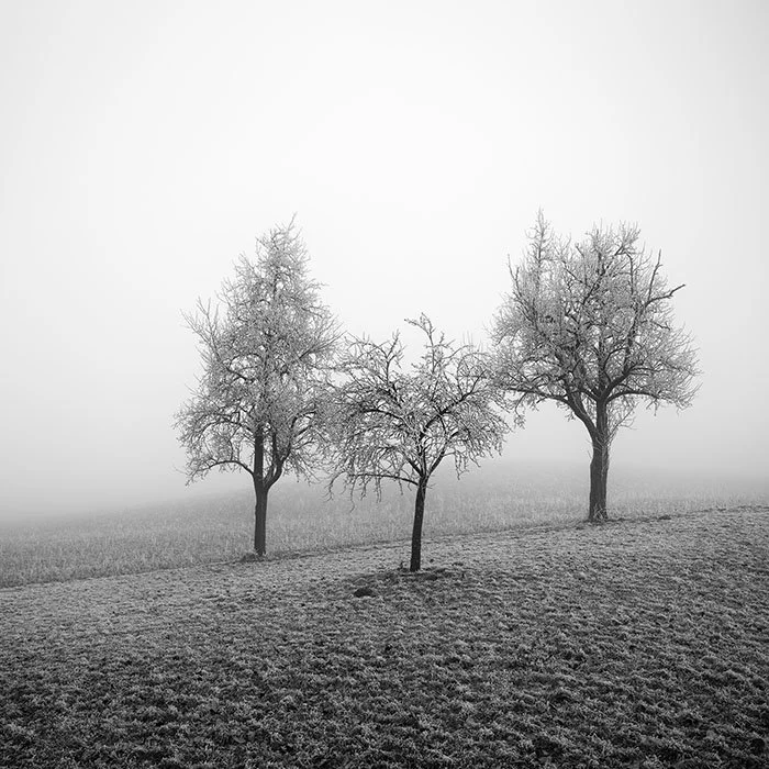 Frozen Landscape Study 2 – Austria | Gerald Berghammer