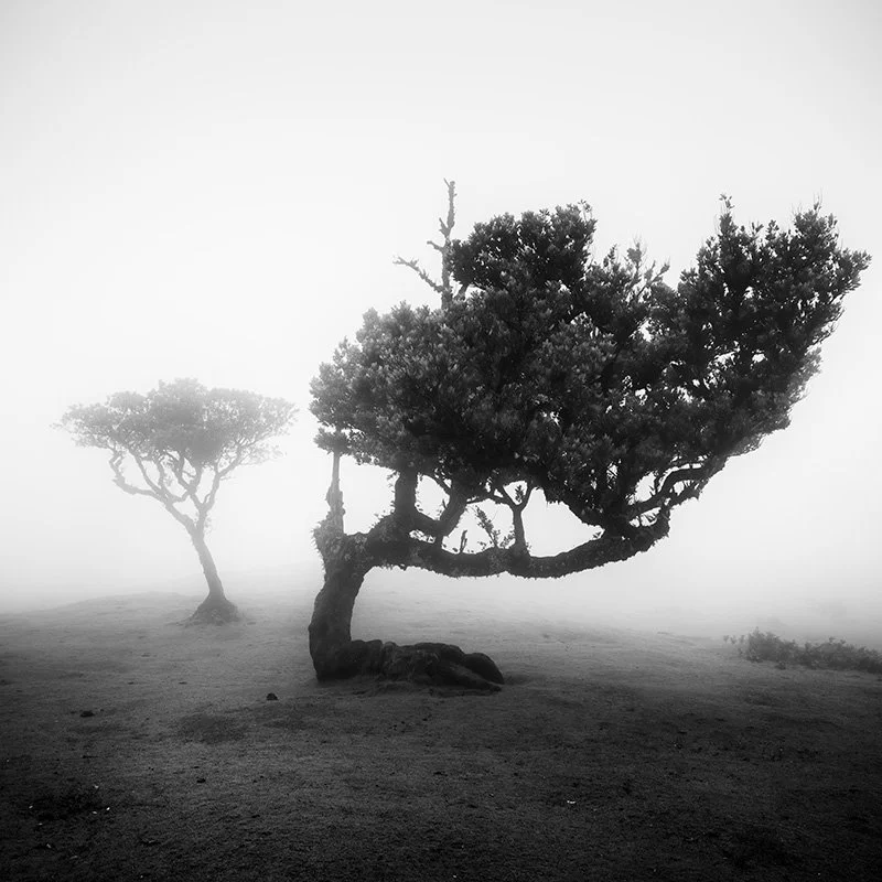 Minimalist black-and-white fine art photograph by Austrian photographer Gerald Berghammer.