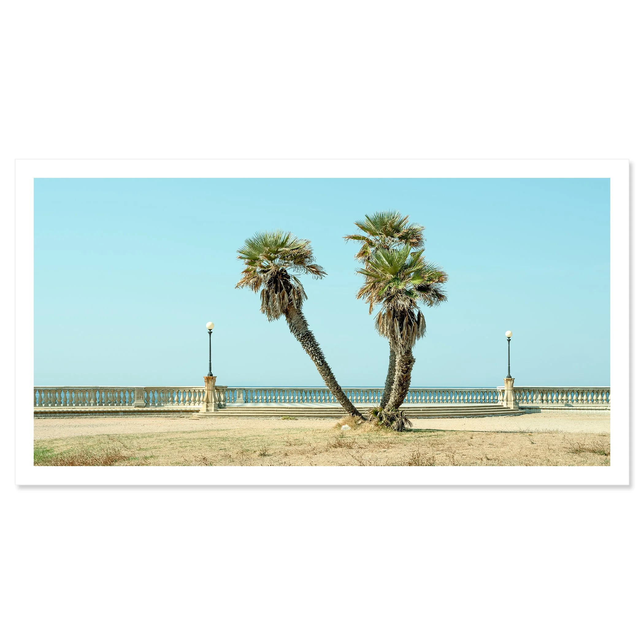 Twin Palms by the Sea – Tuscany, colour fine art print on Hahnemühle Photo Rag Baryta, photo by Gerald Berghammer.